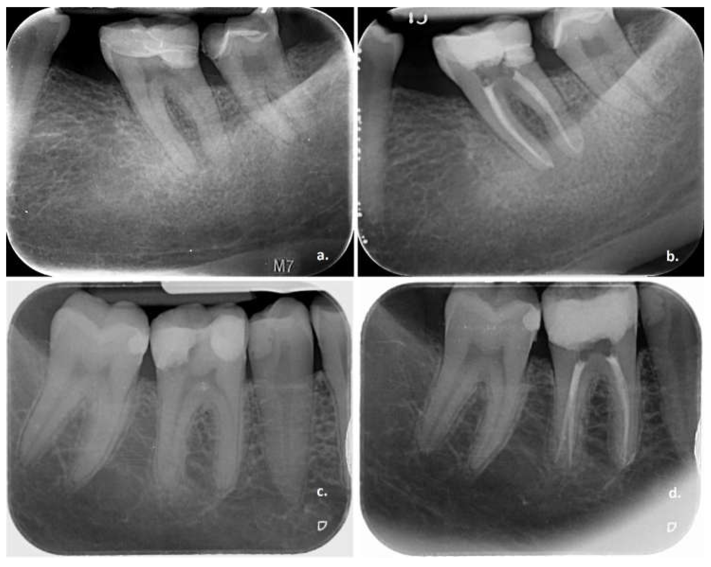 Preprints 160828 g002