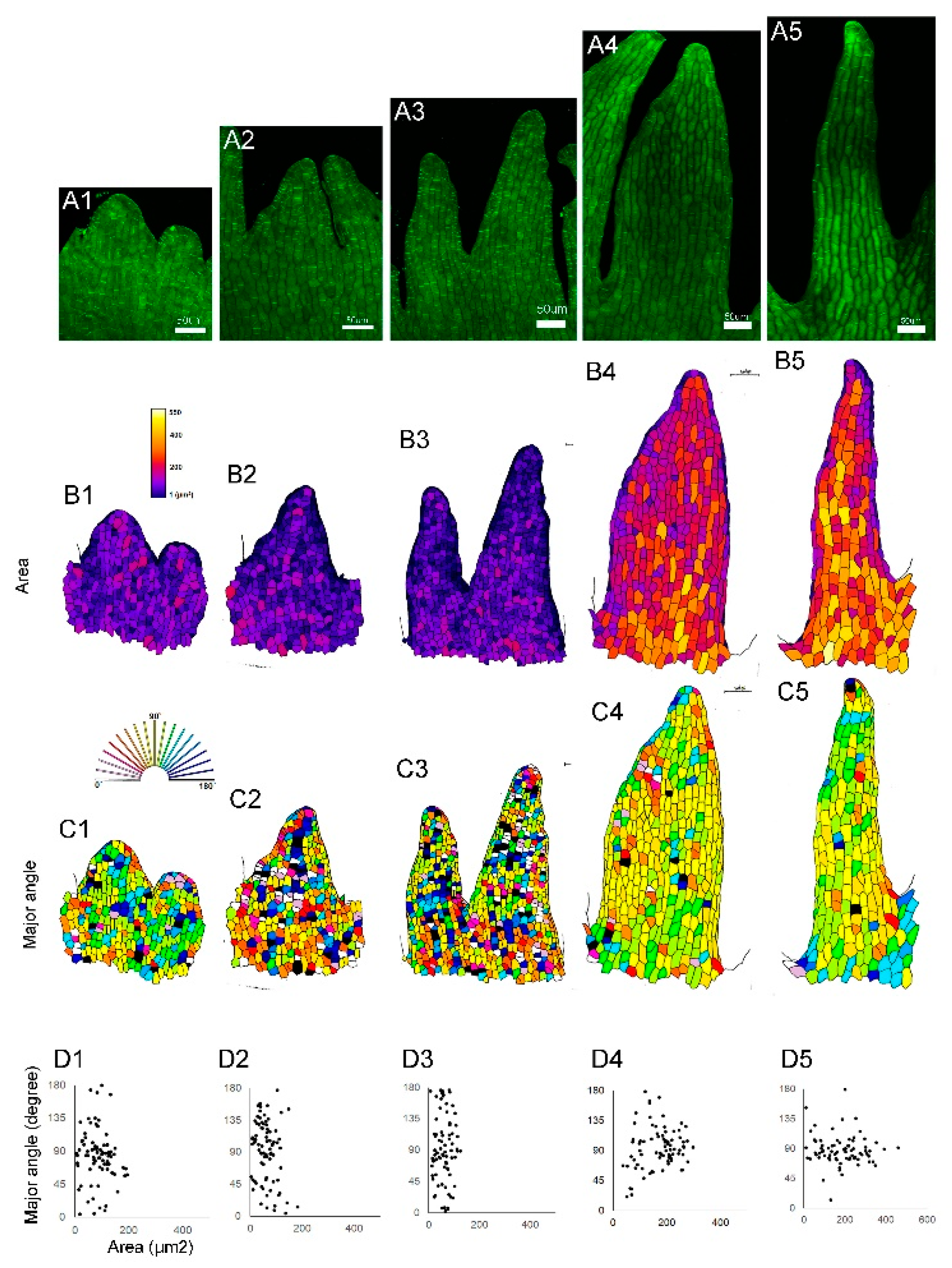 Preprints 144290 g003