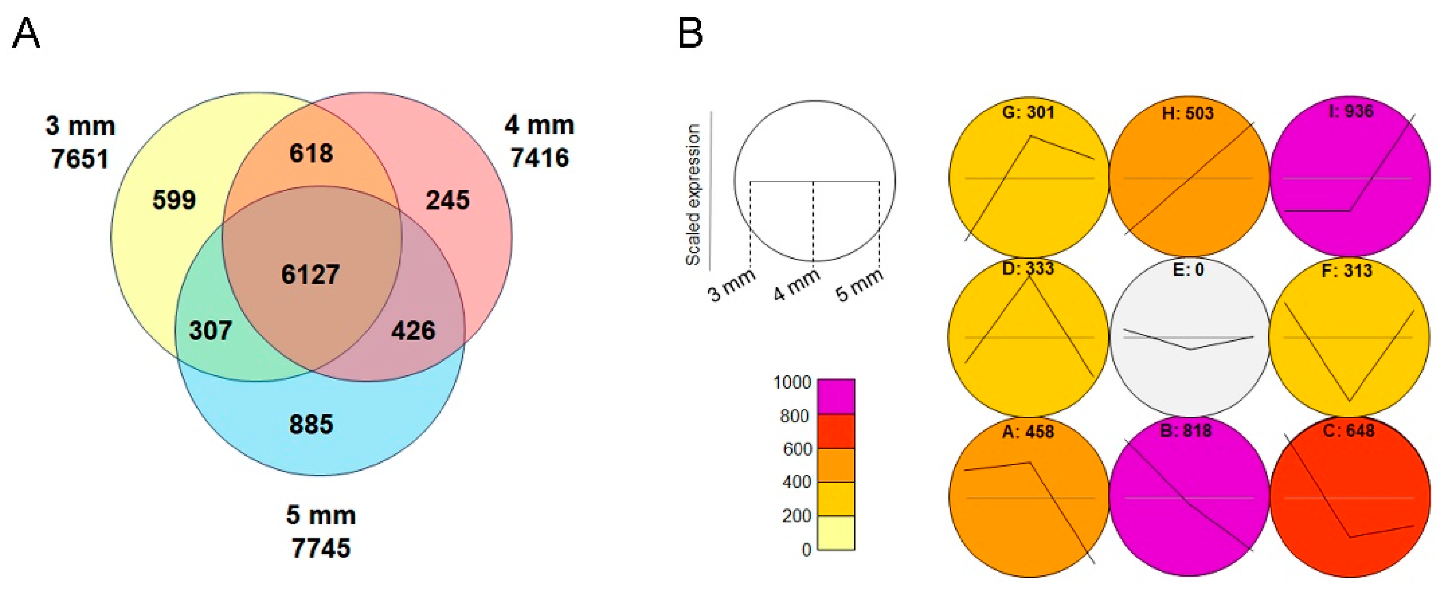 Preprints 144290 g004