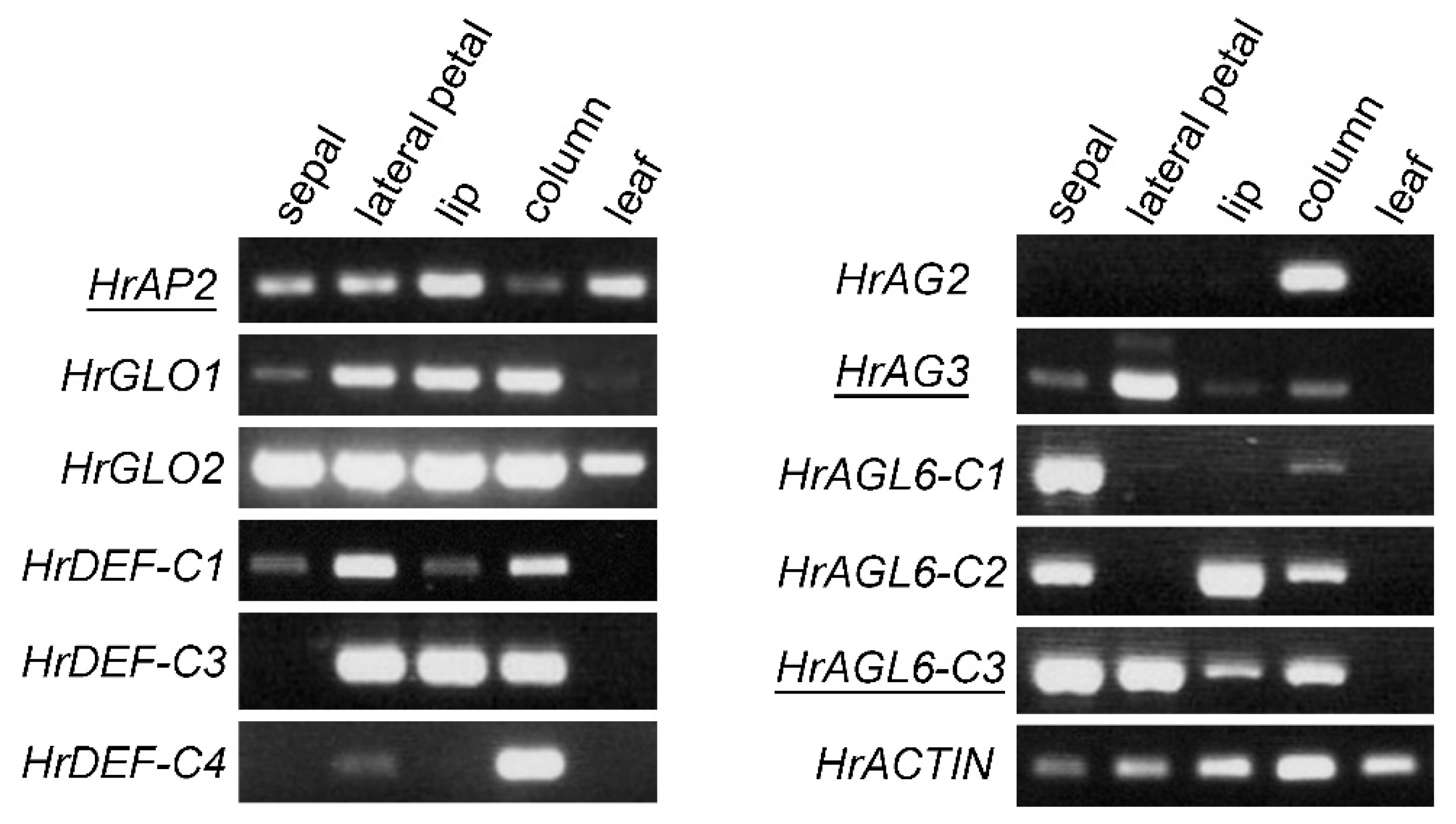 Preprints 144290 g005