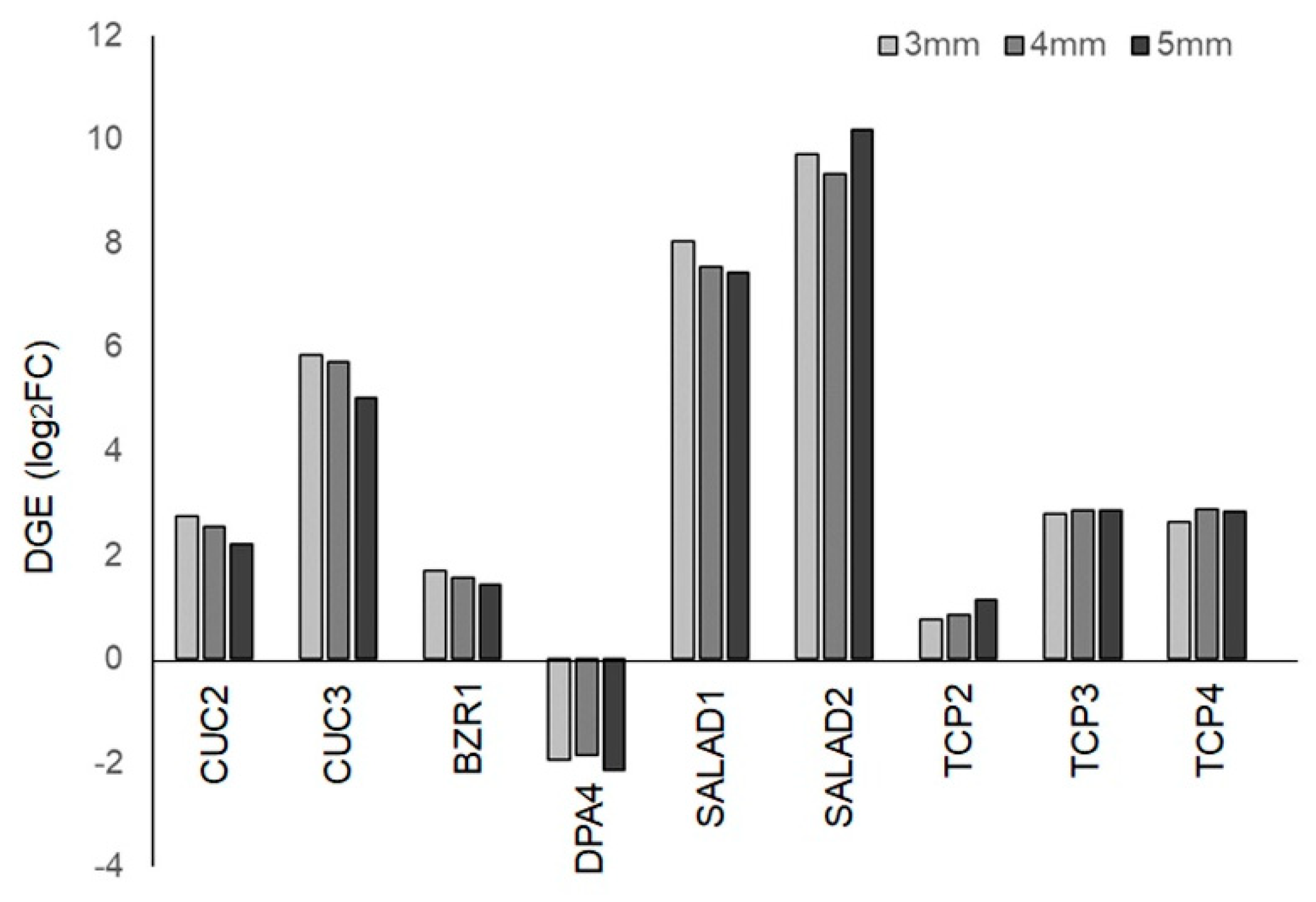 Preprints 144290 g007