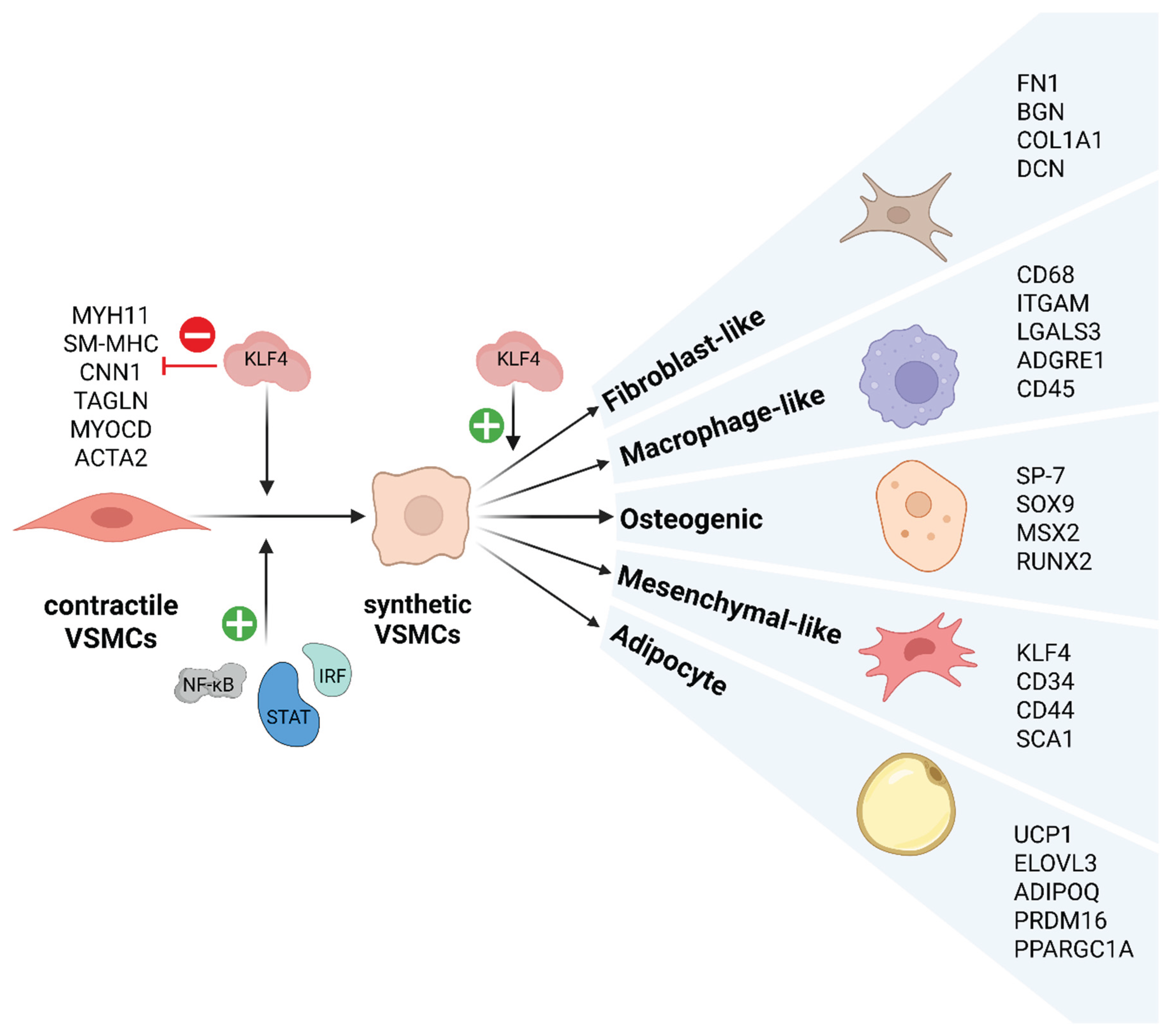 Preprints 179259 g001