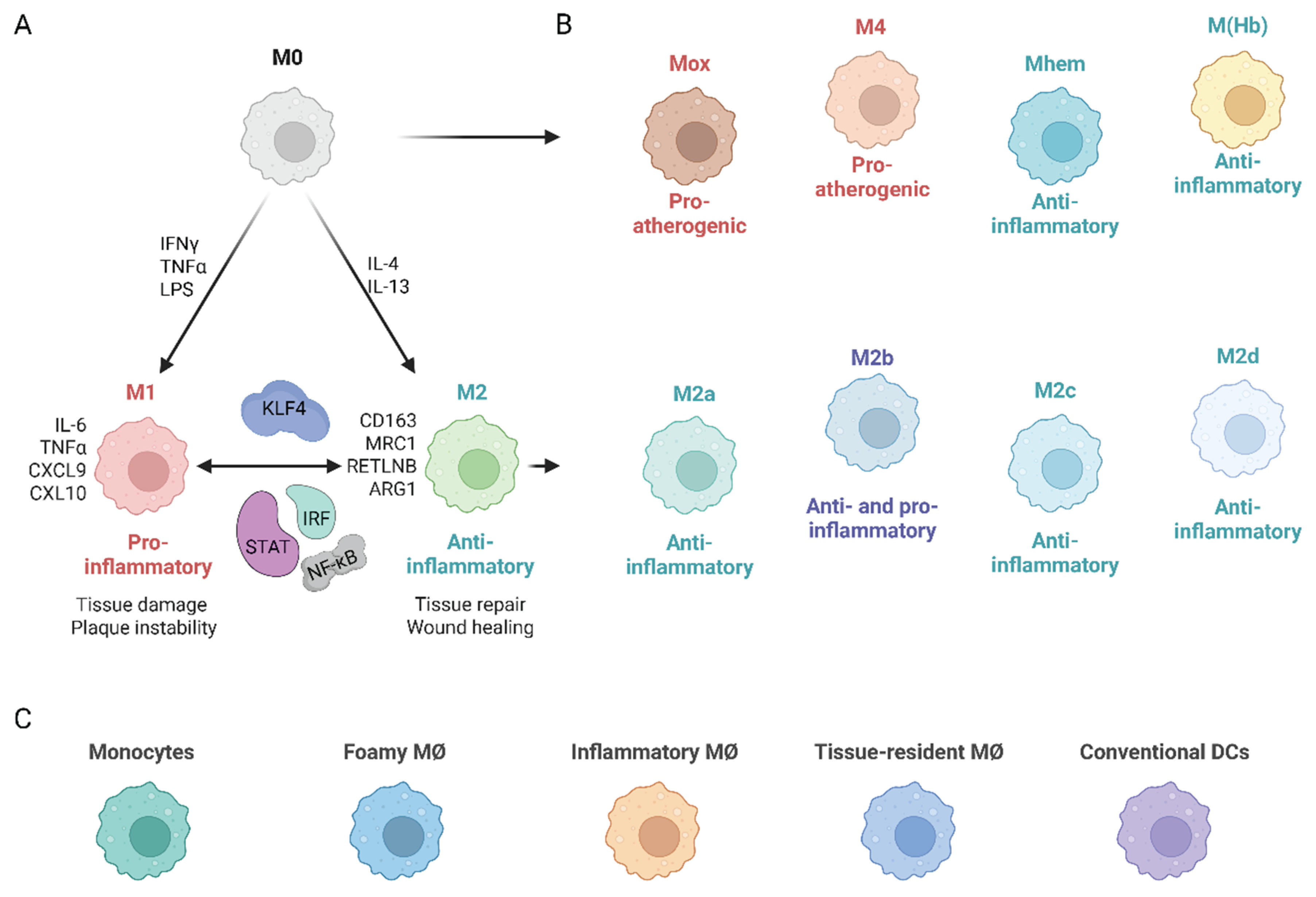 Preprints 179259 g002