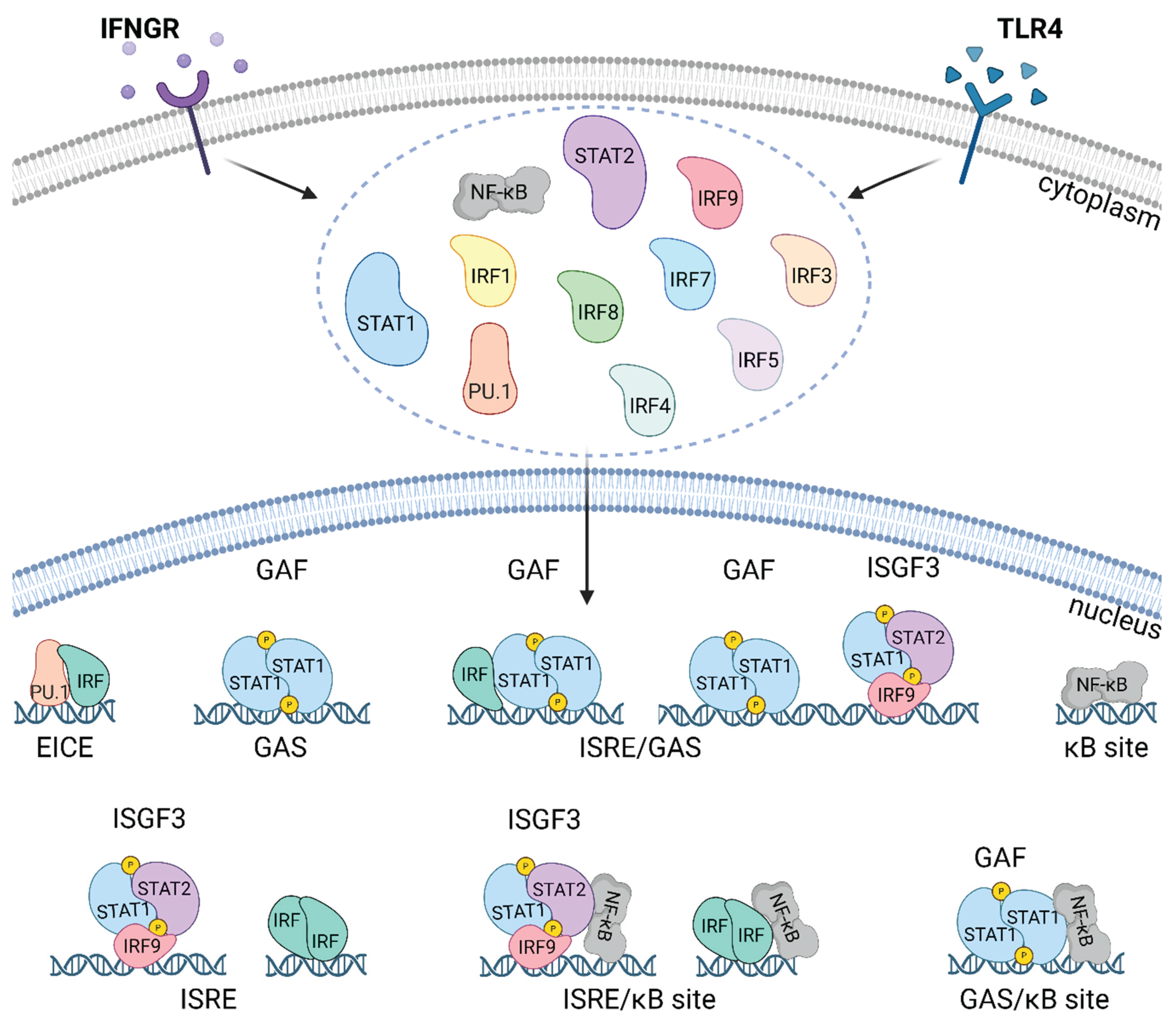 Preprints 179259 g003