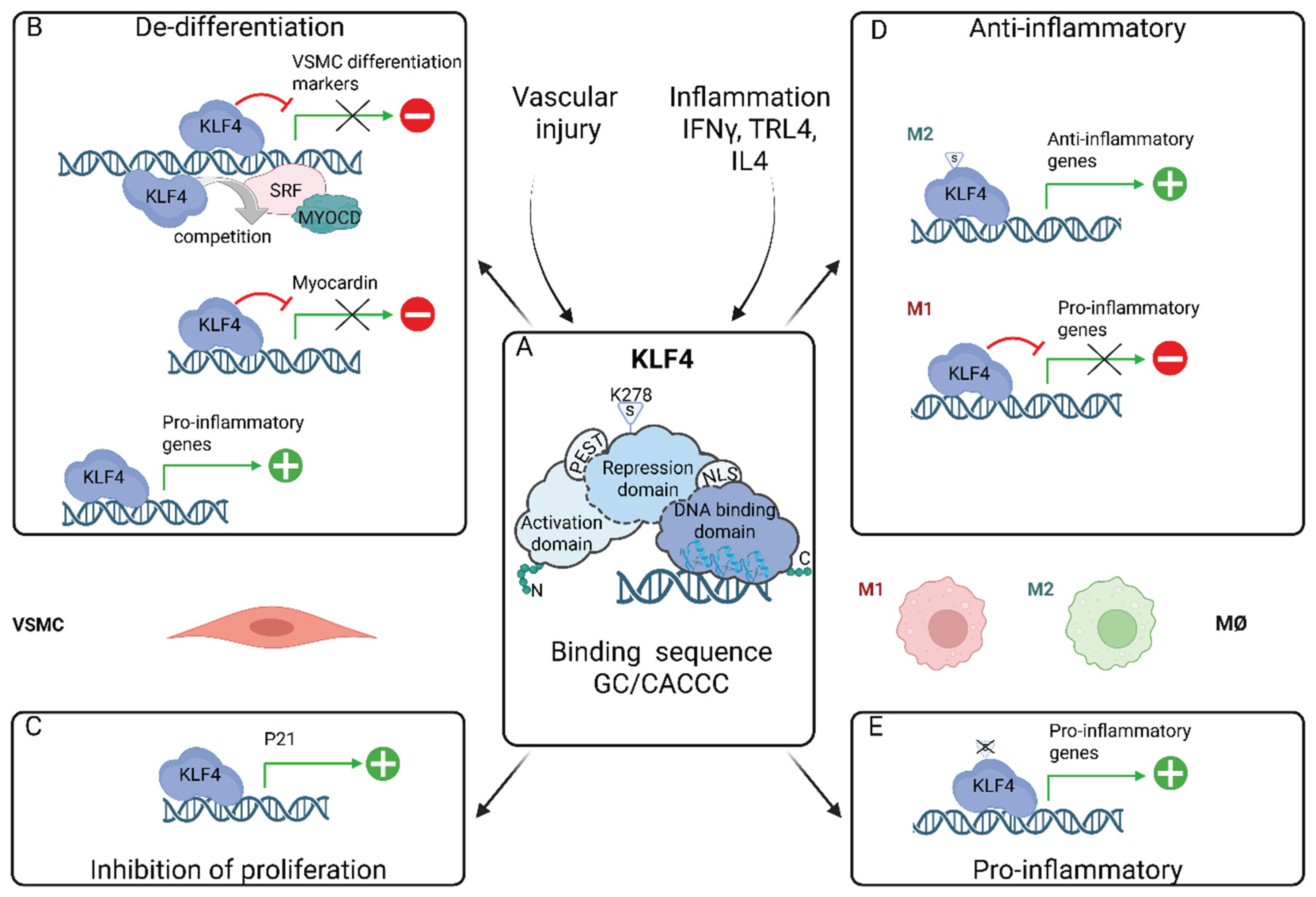 Preprints 179259 g004