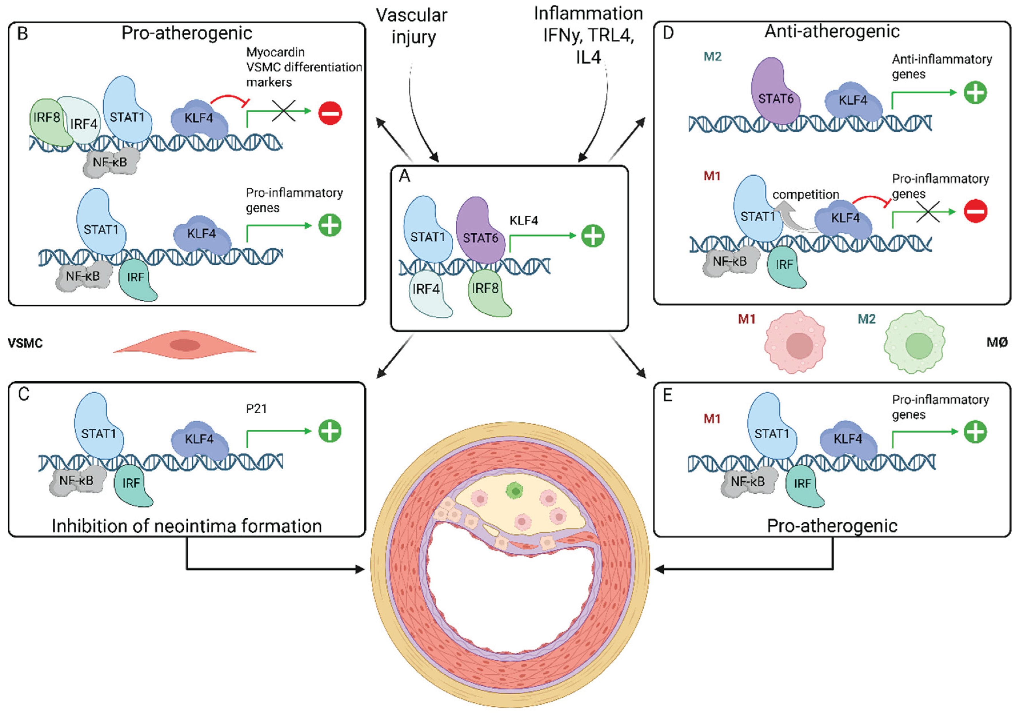 Preprints 179259 g005