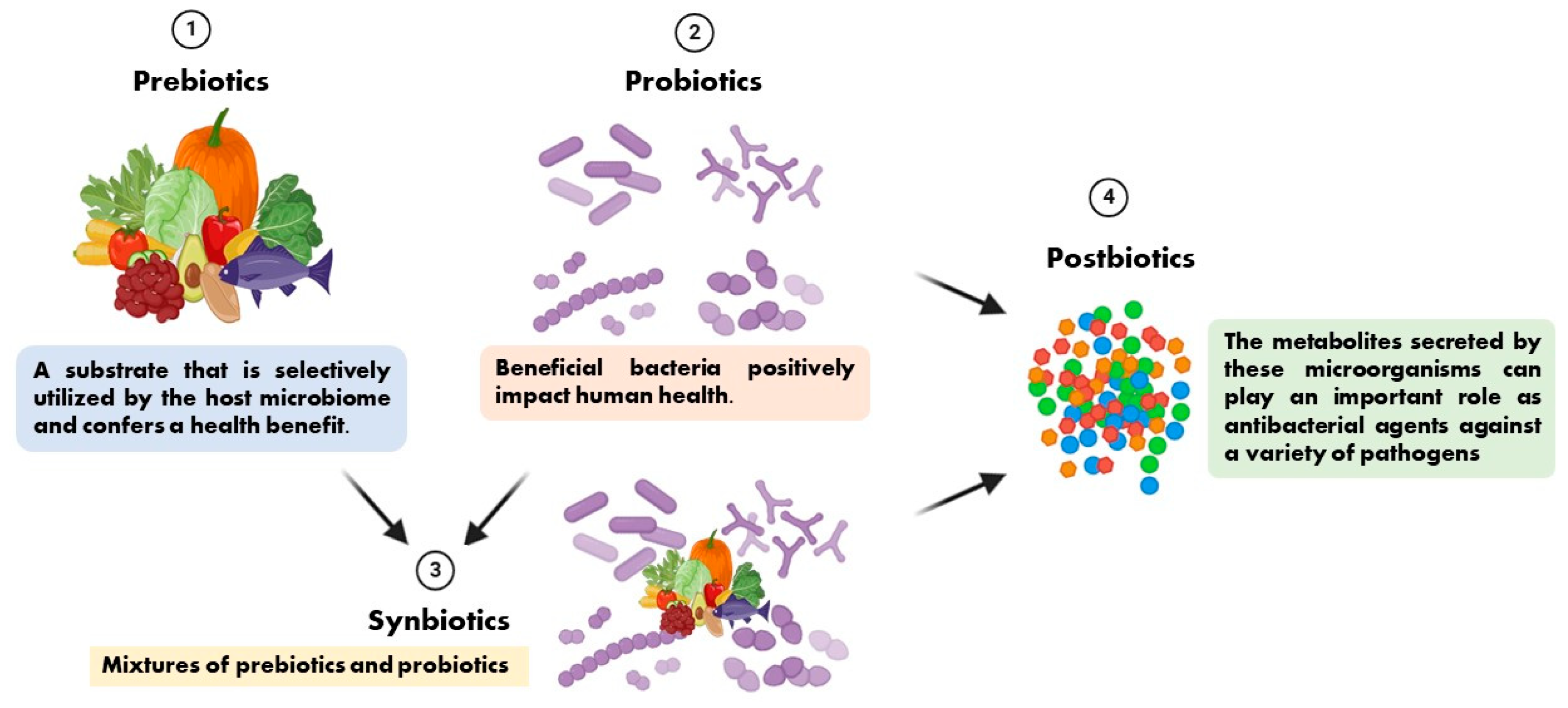 Preprints 152138 g001