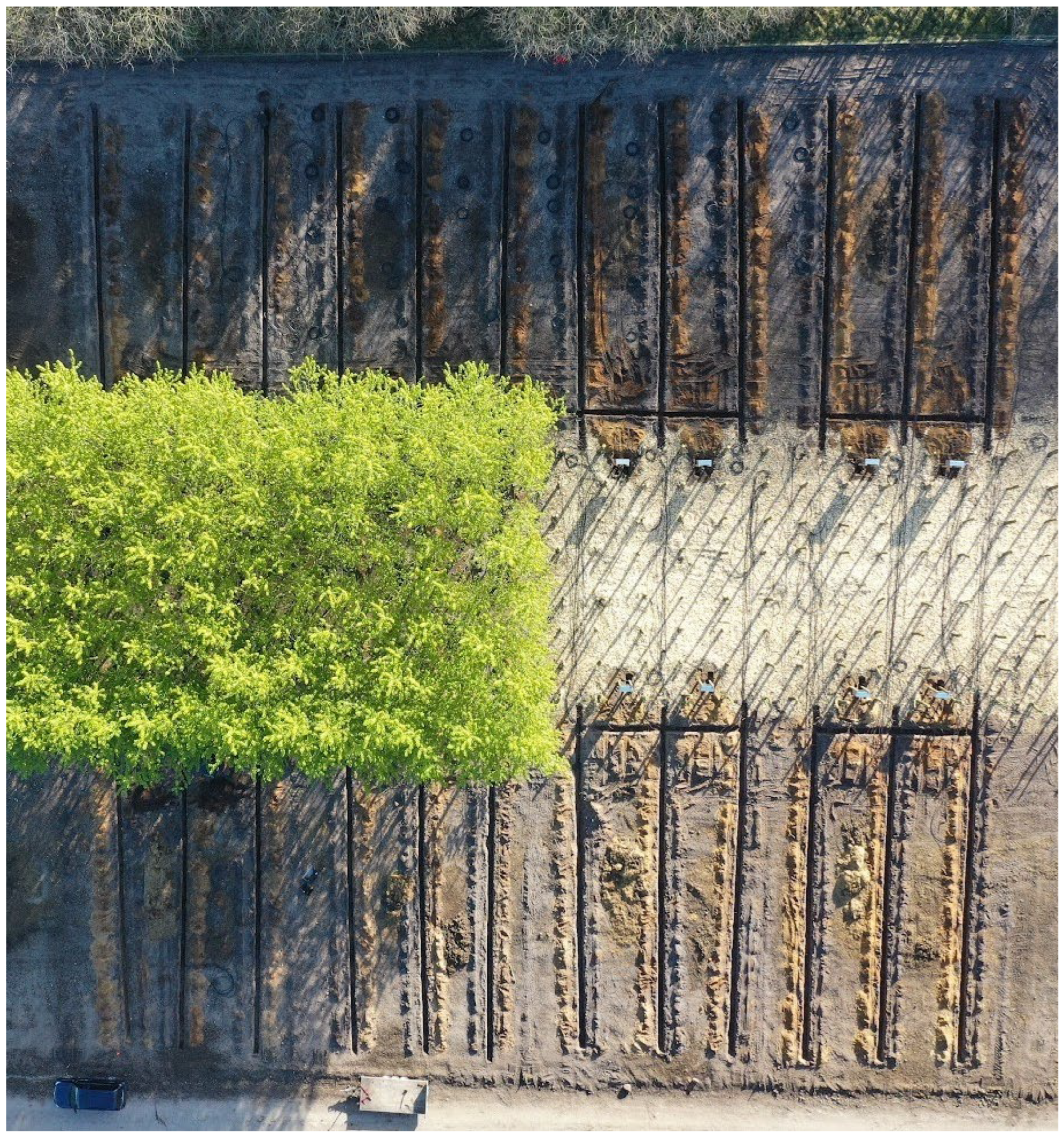 Preprints 176971 g0a1