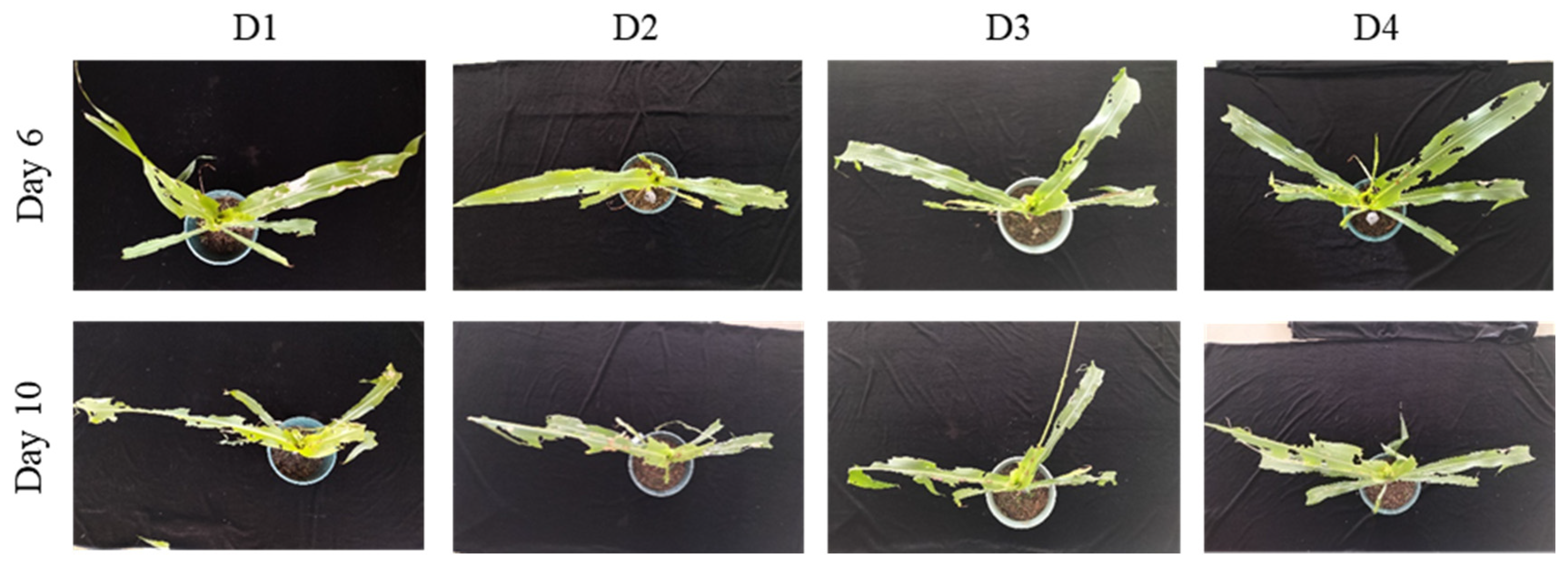 Preprints 187942 g004