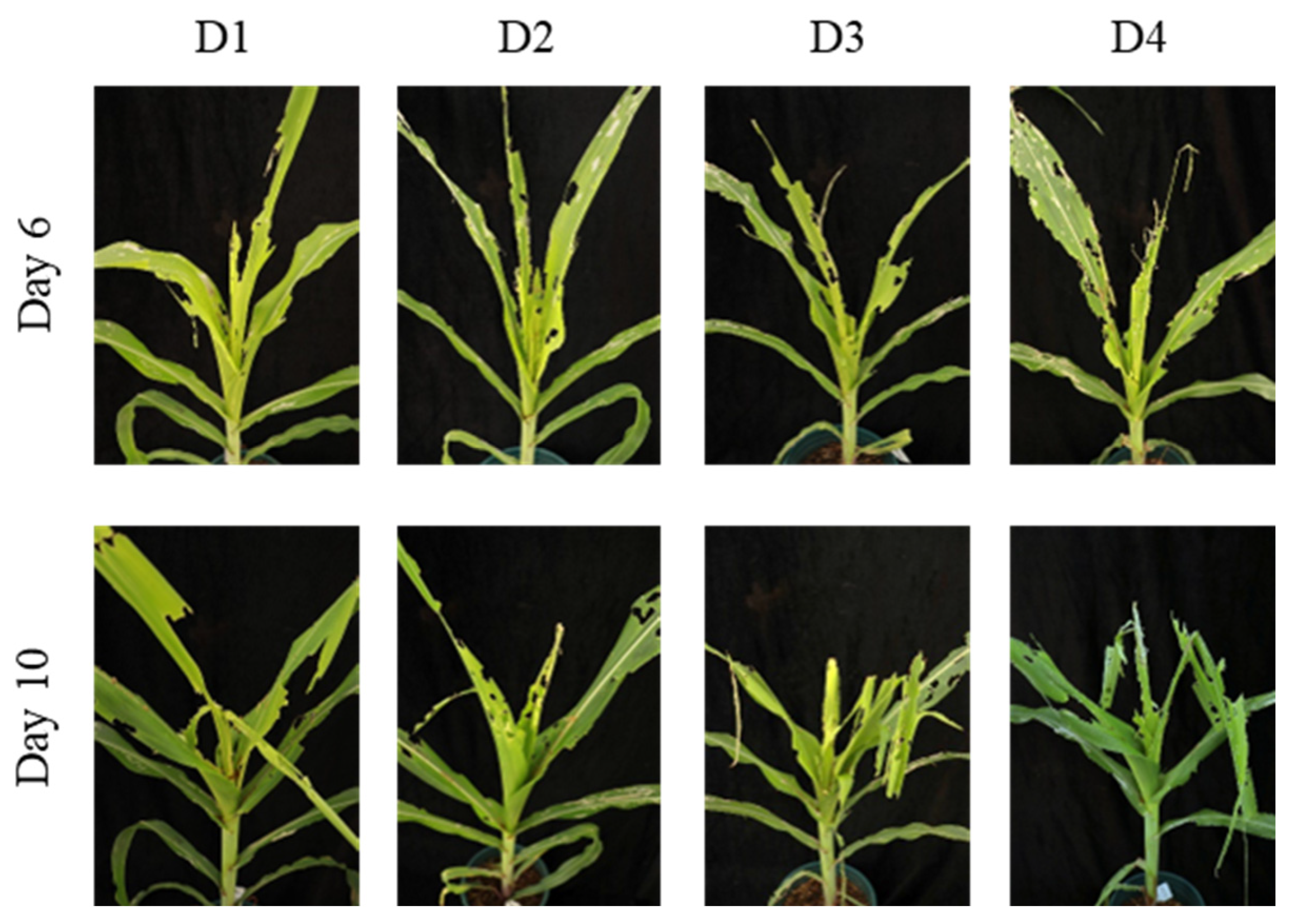 Preprints 187942 g005