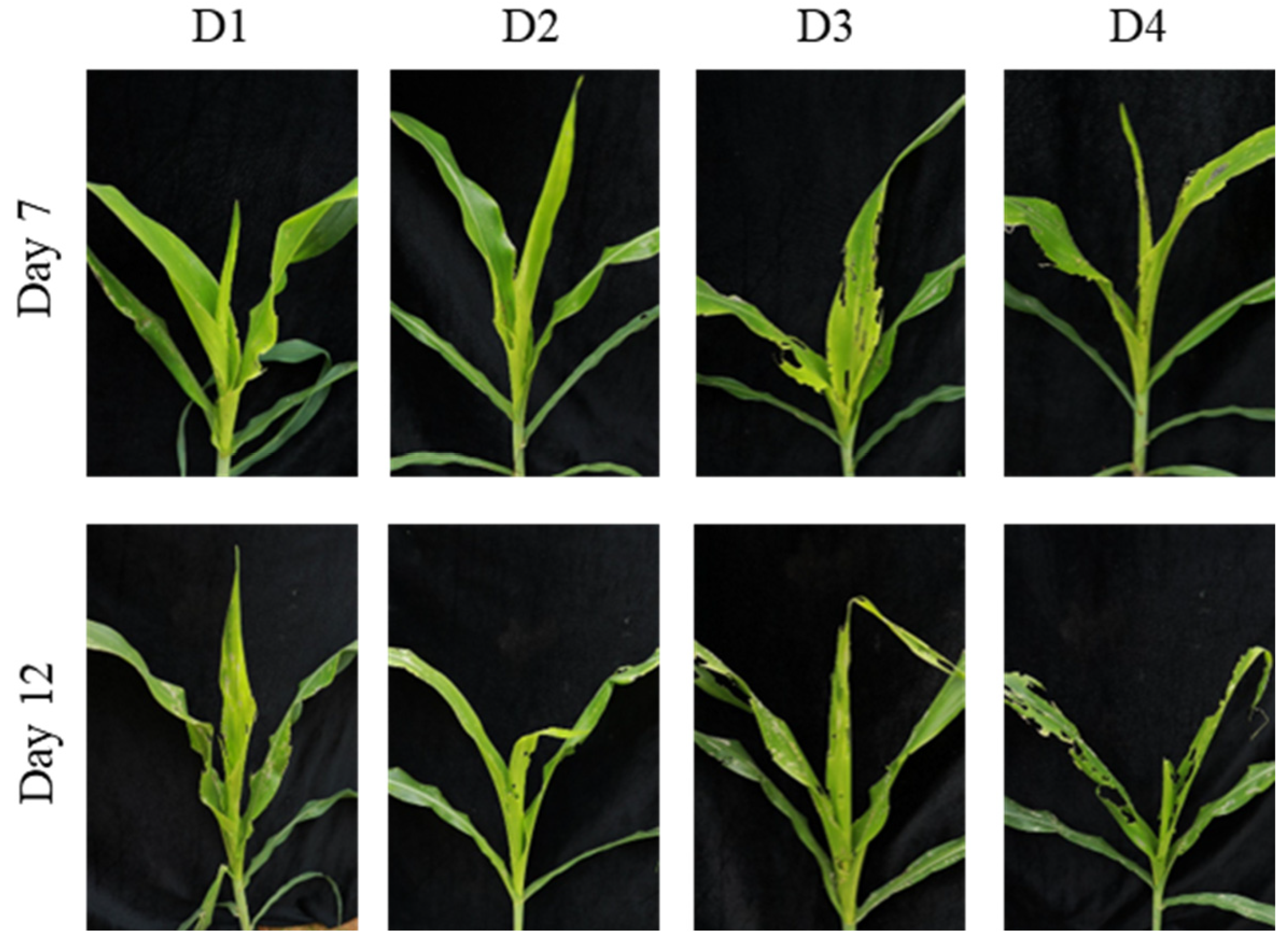 Preprints 187942 g007