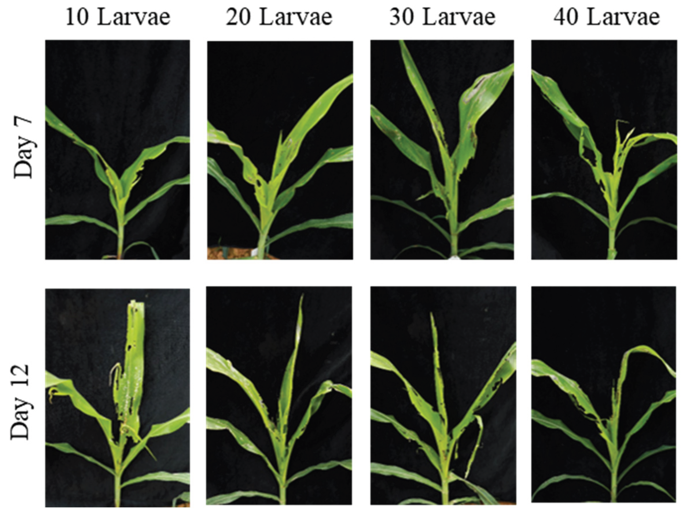 Preprints 187942 g009