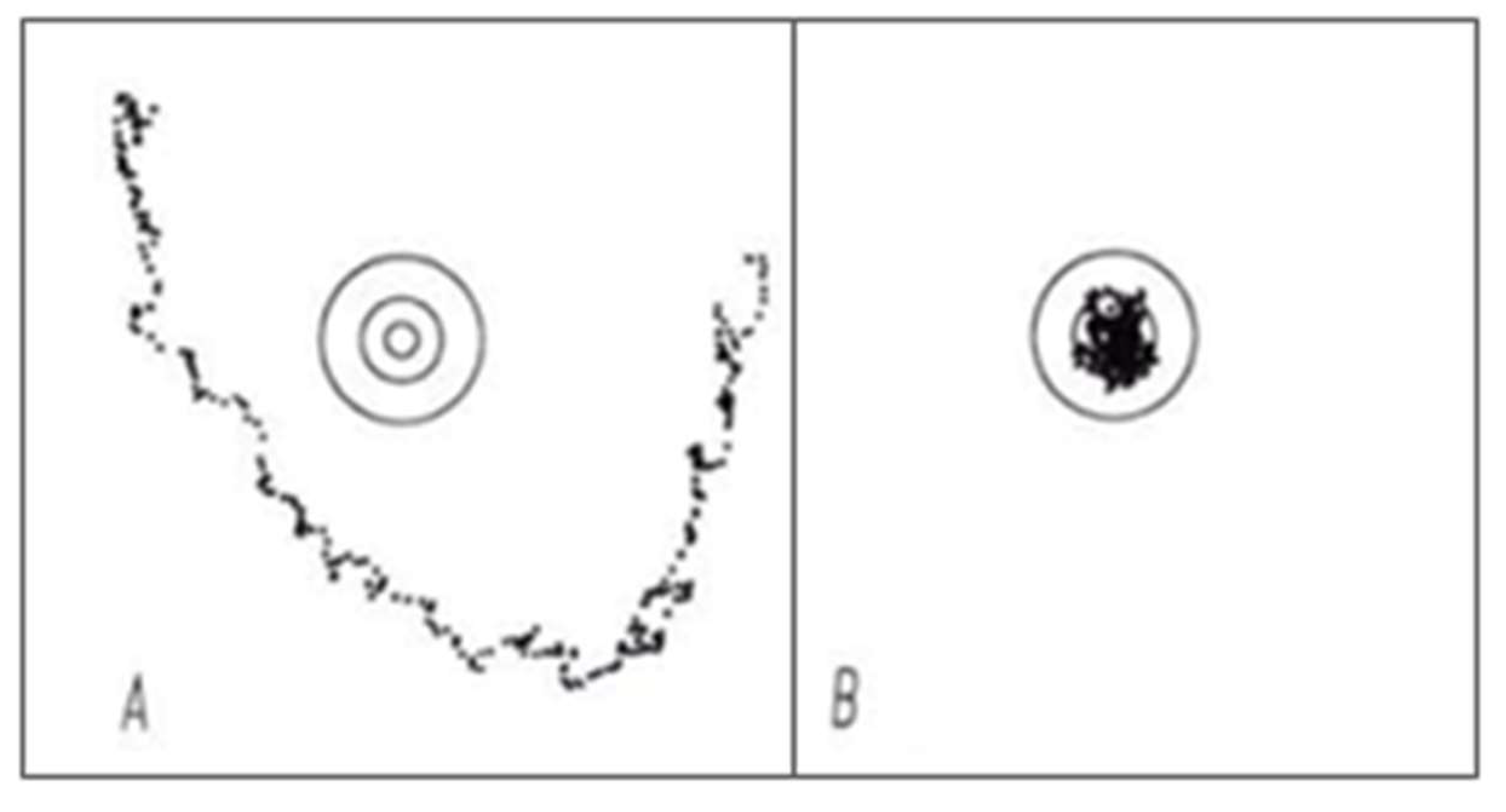 Preprints 152787 g004