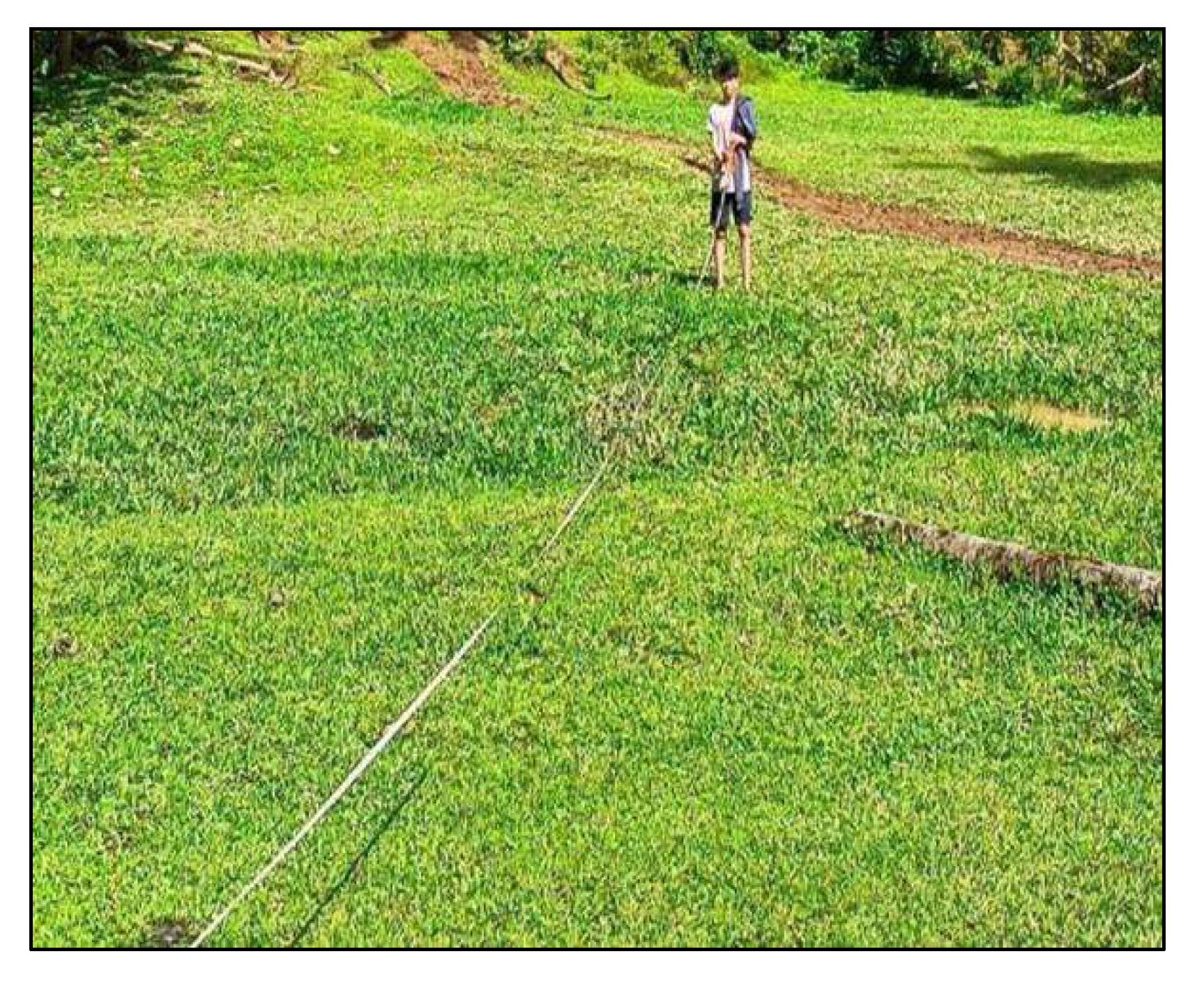 Preprints 152787 g024