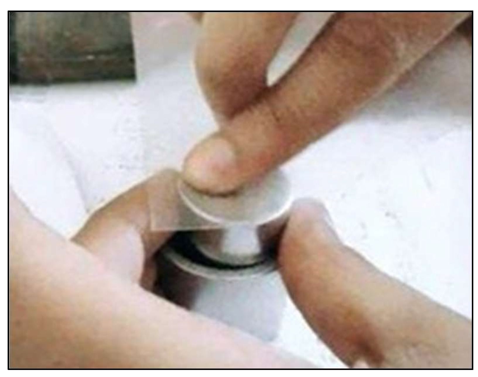 Preprints 152787 g031