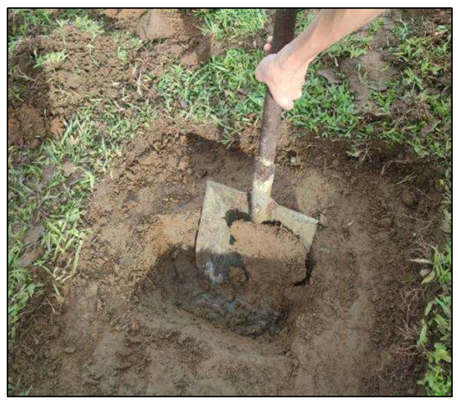 Preprints 152787 g0a2