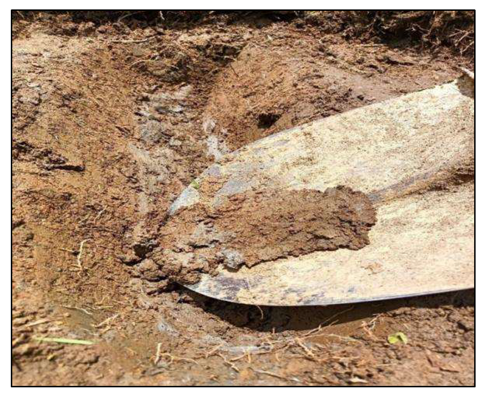 Preprints 152787 g0a3