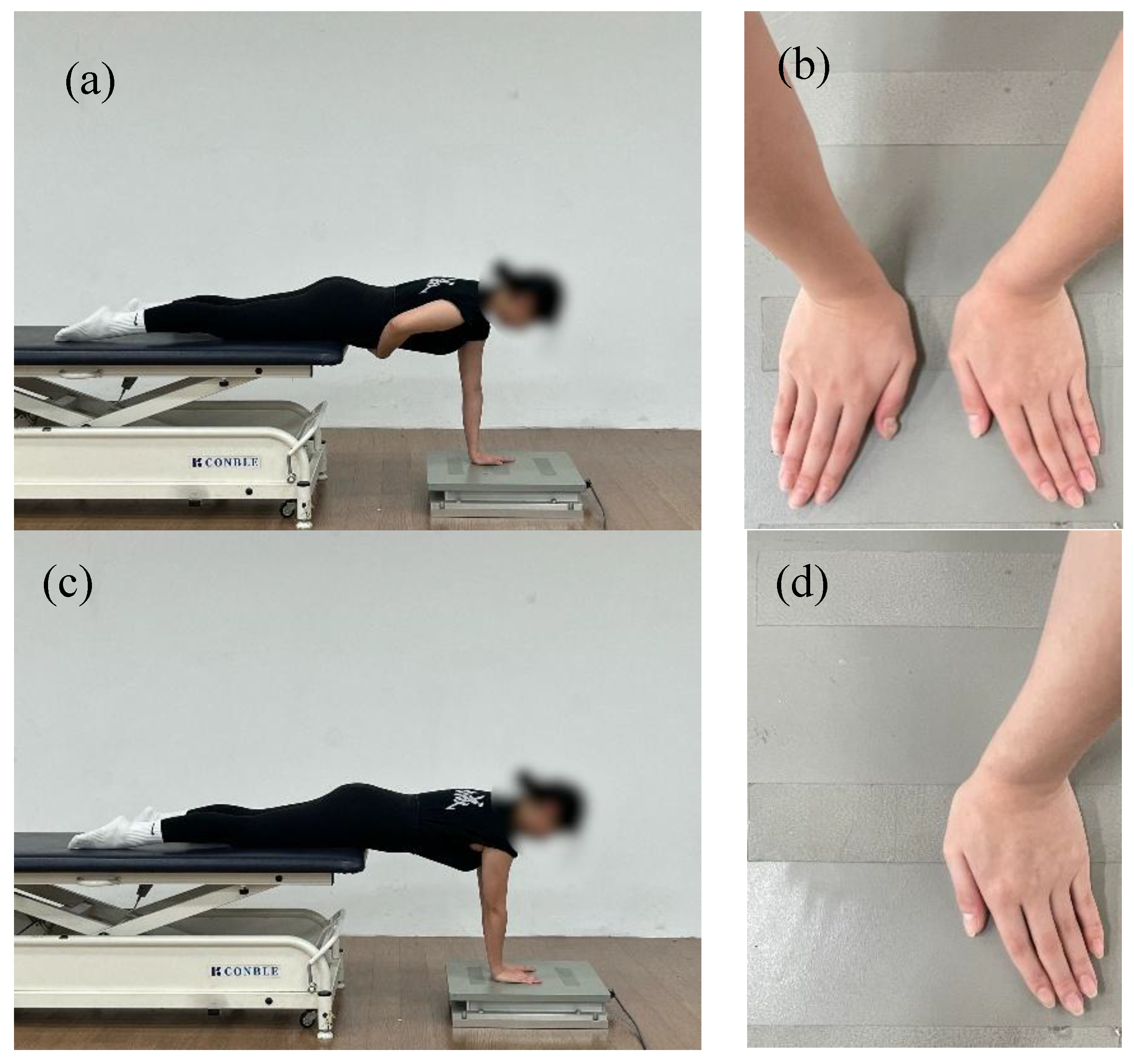 Preprints 189106 g002