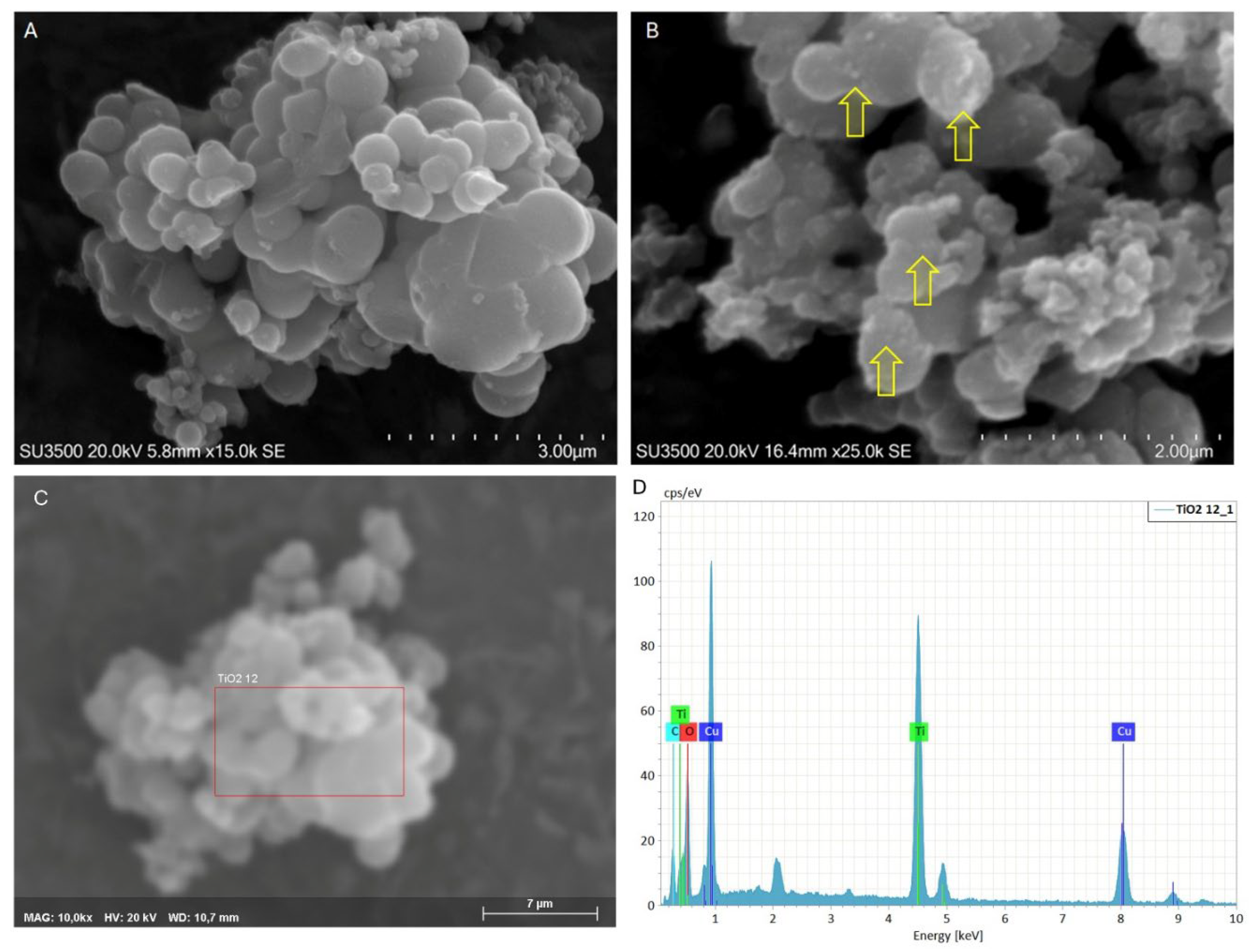 Preprints 171387 g001
