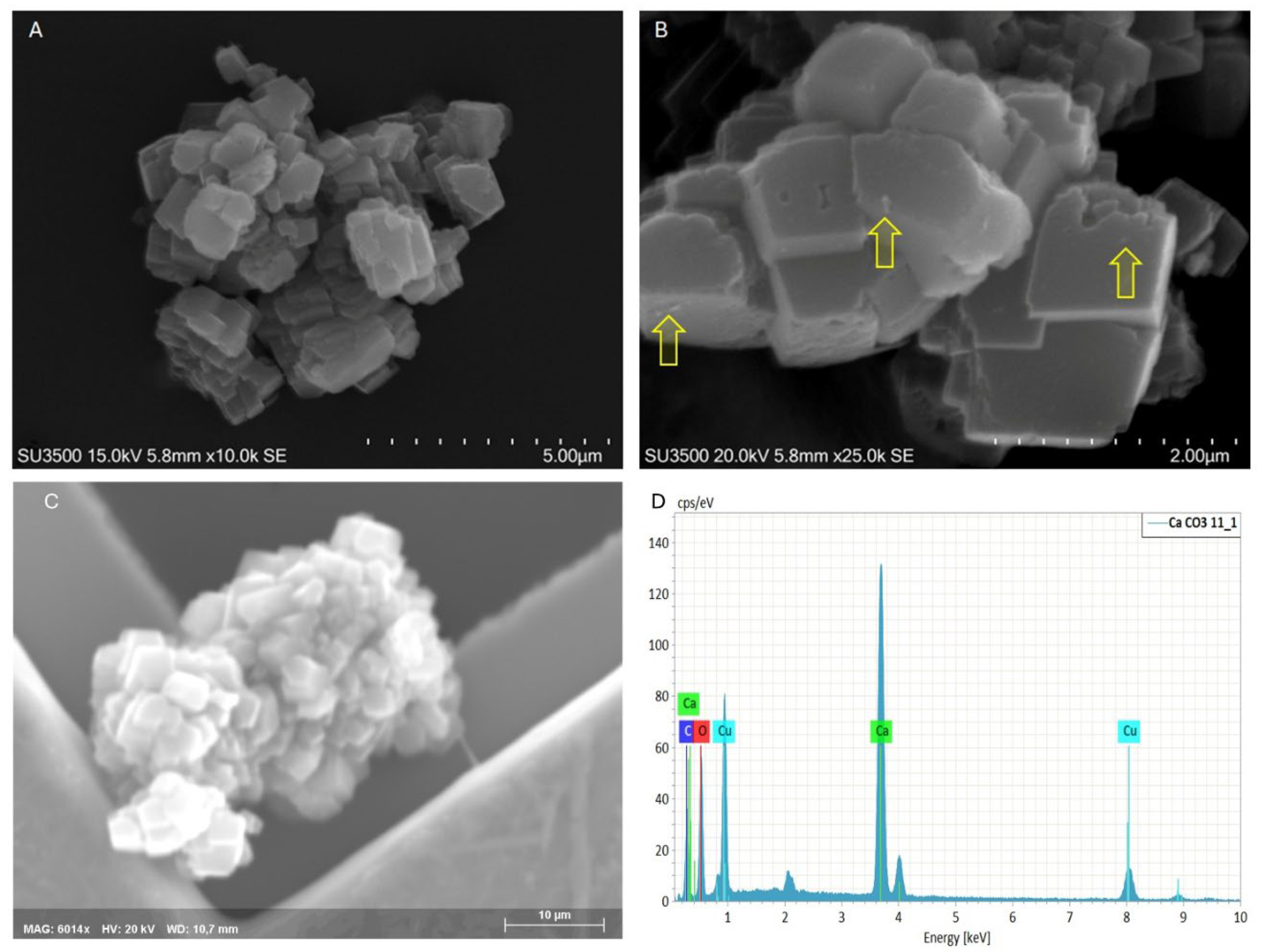 Preprints 171387 g003