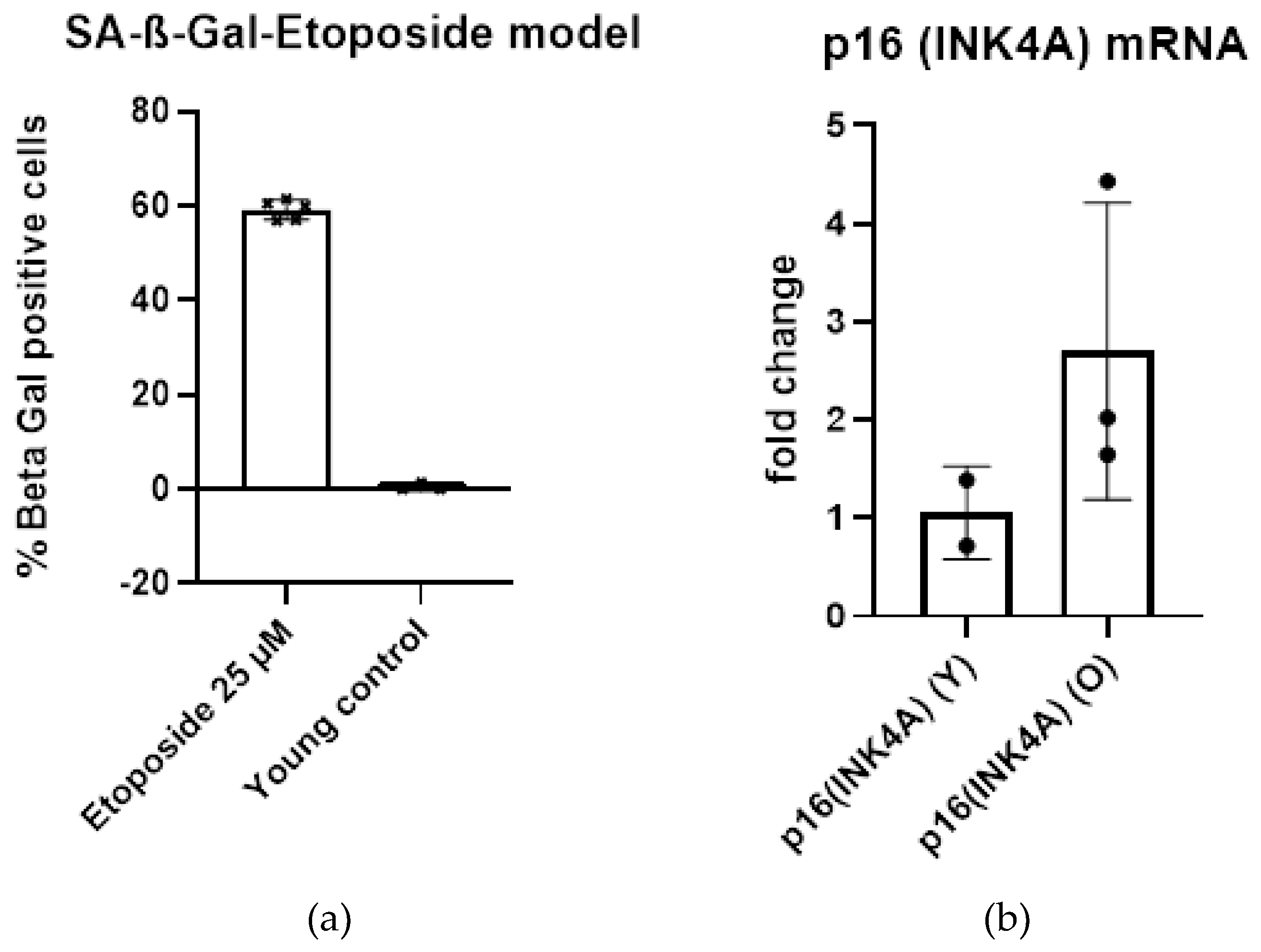 Preprints 141568 g003