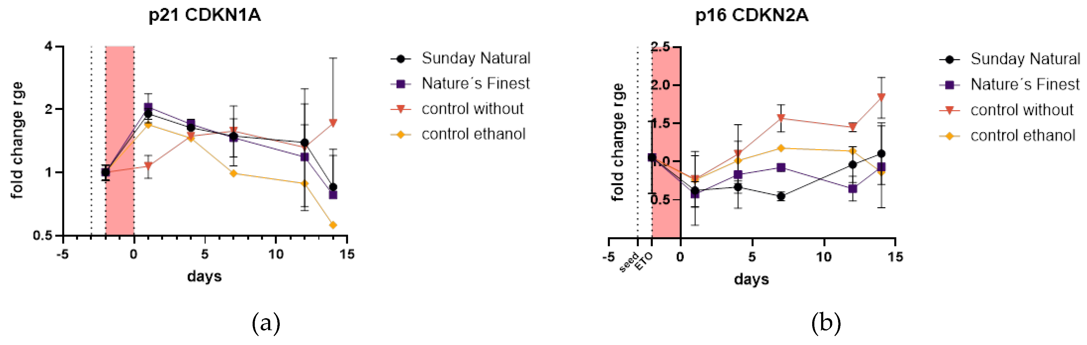 Preprints 141568 g012