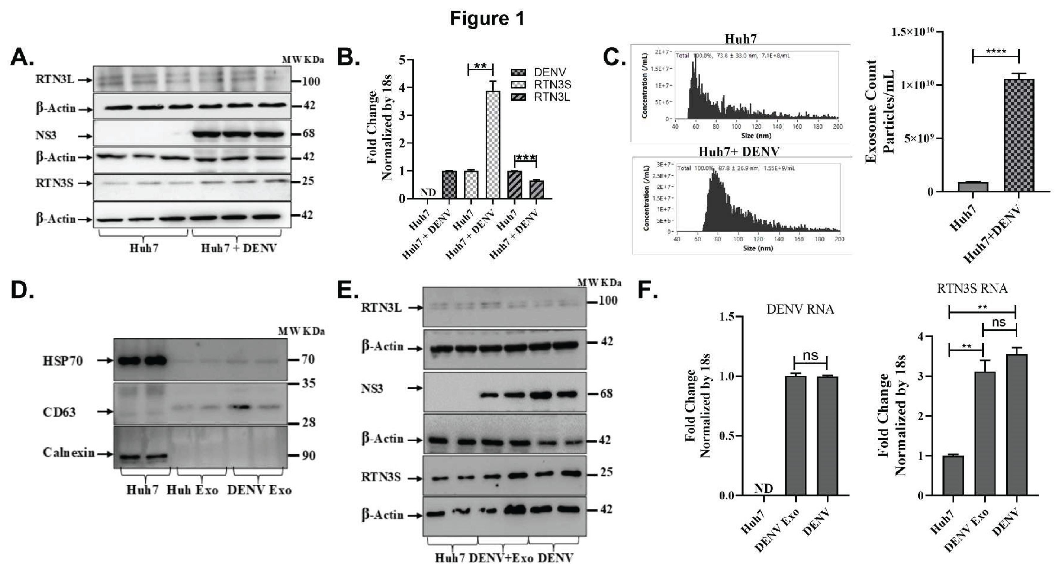 Preprints 166103 g001