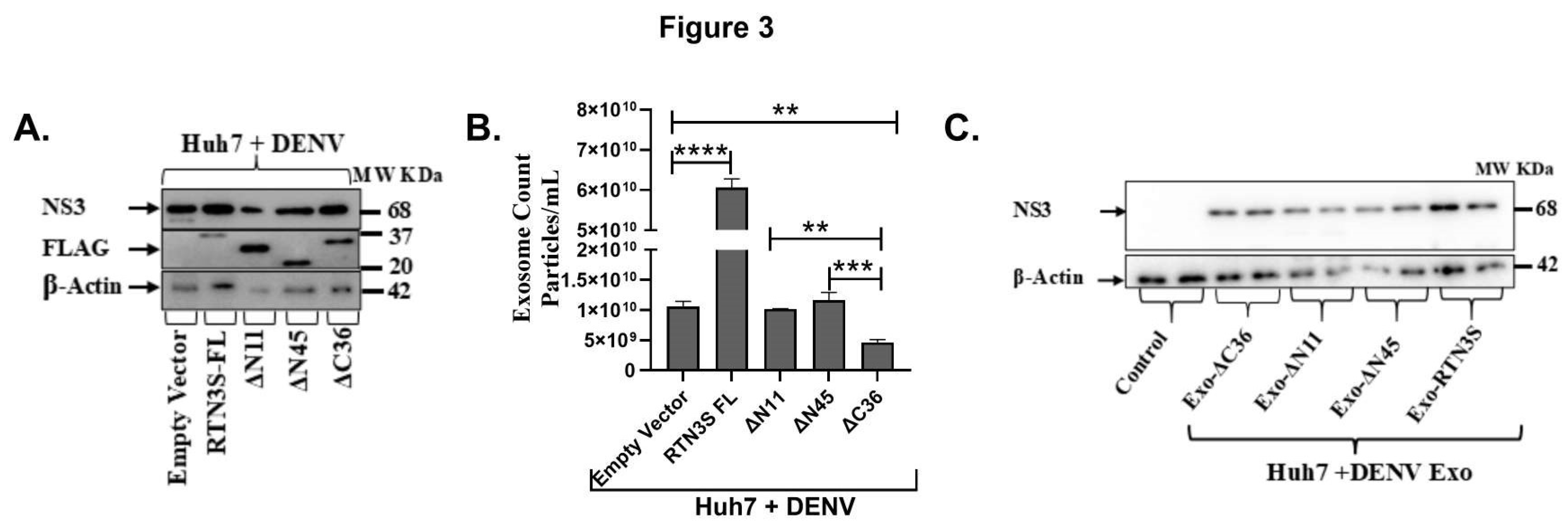 Preprints 166103 g003