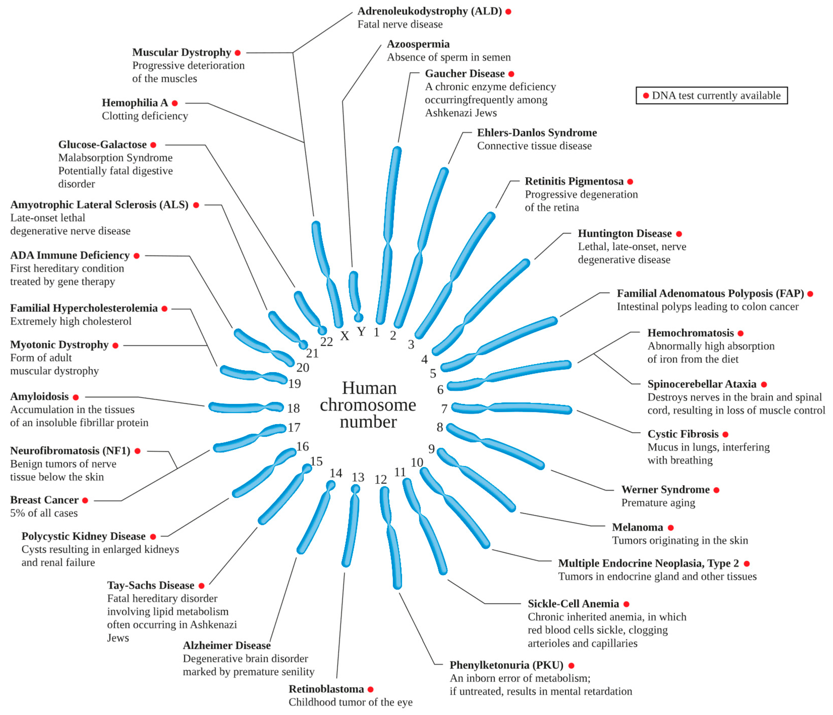 Preprints 81523 g001