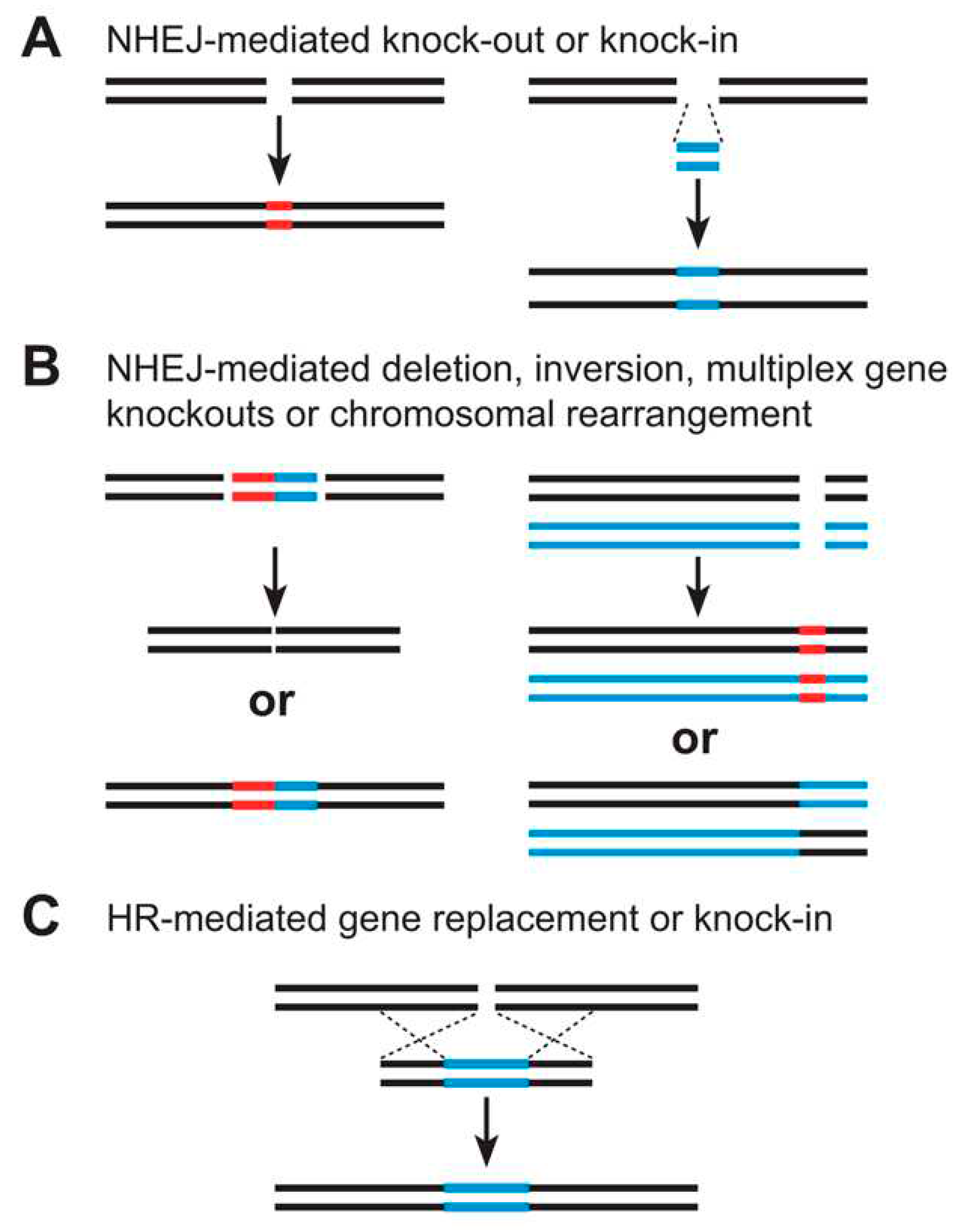 Preprints 81523 g003