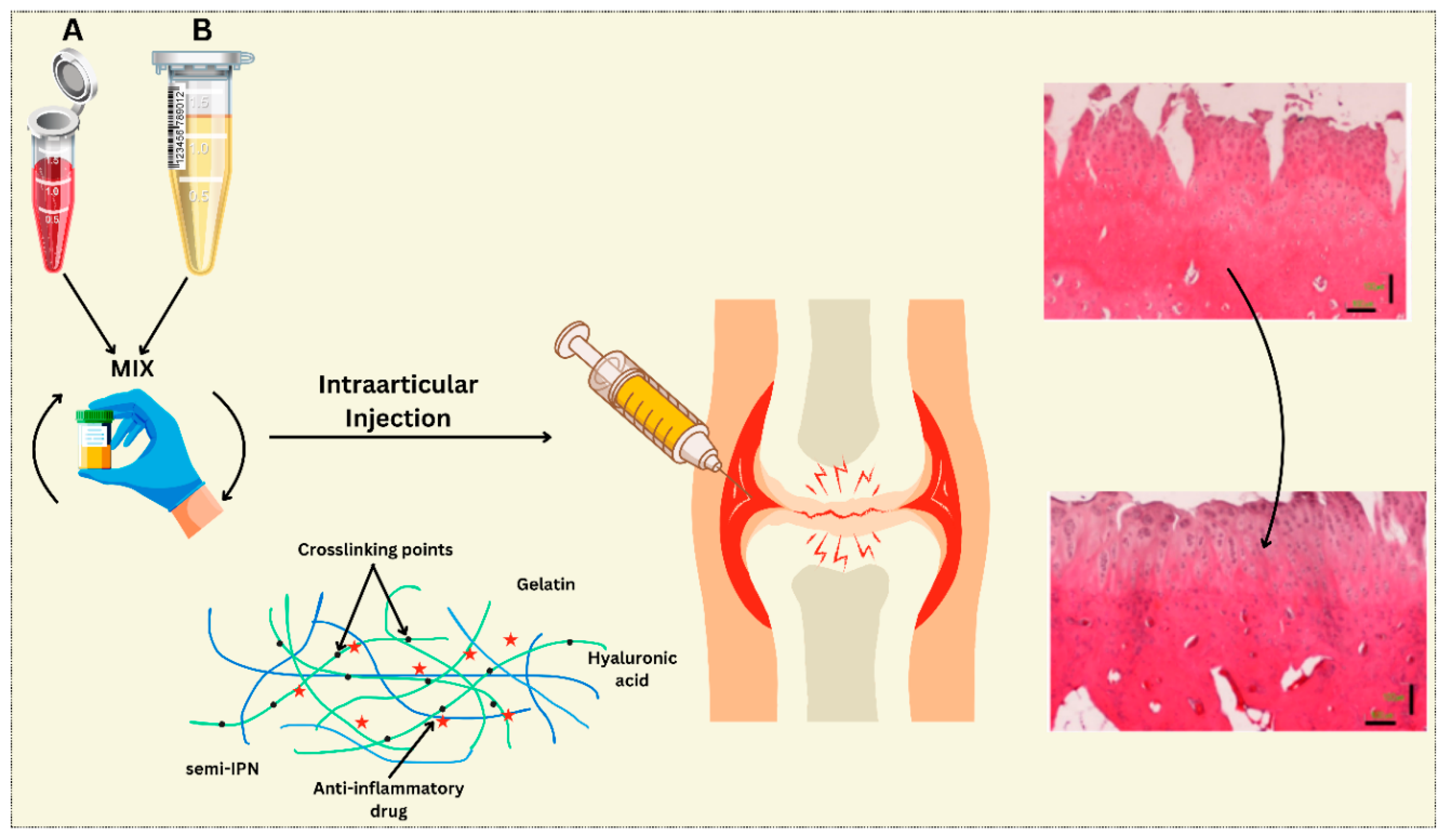 Preprints 146676 g002