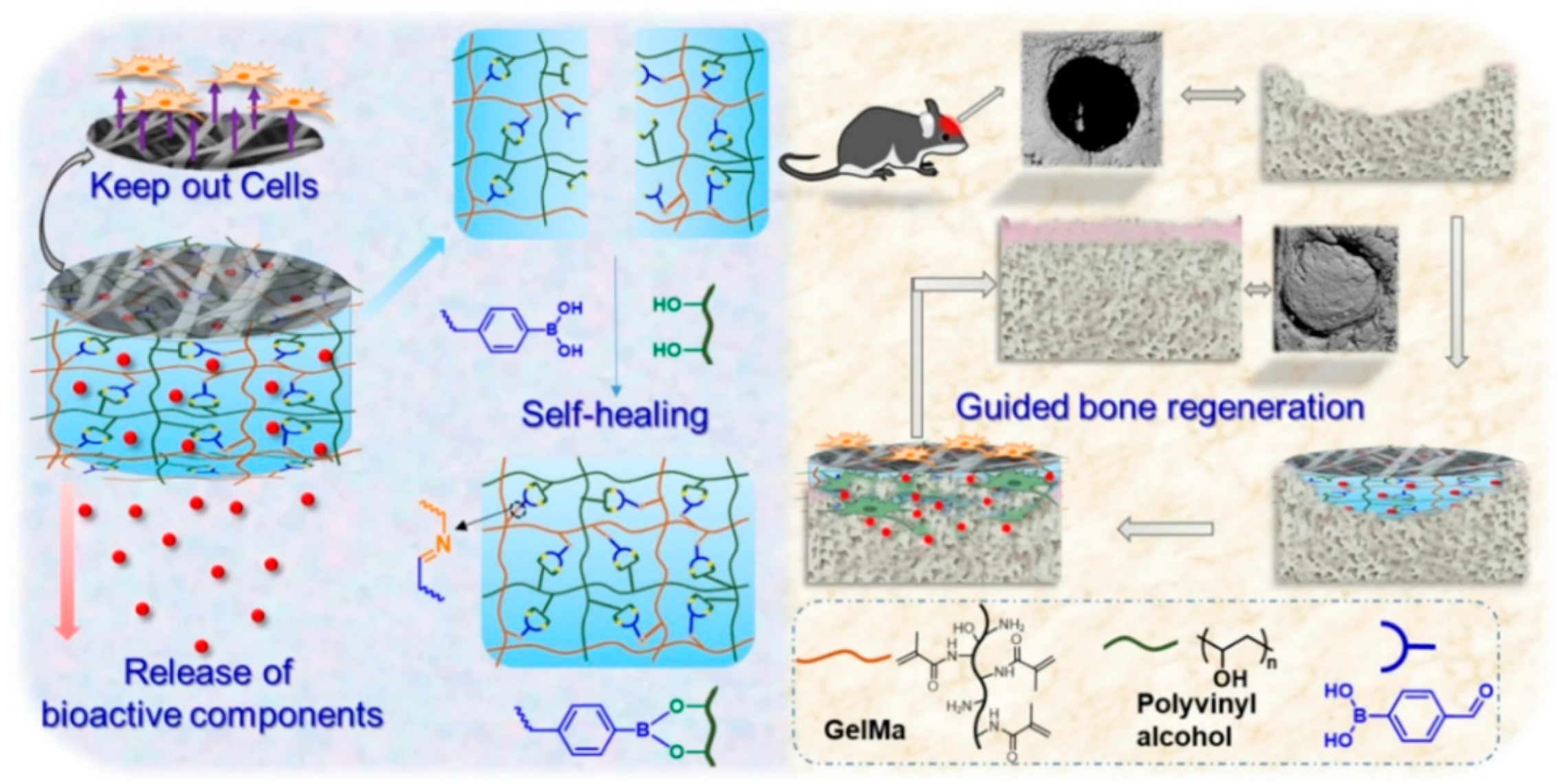 Preprints 146676 g004