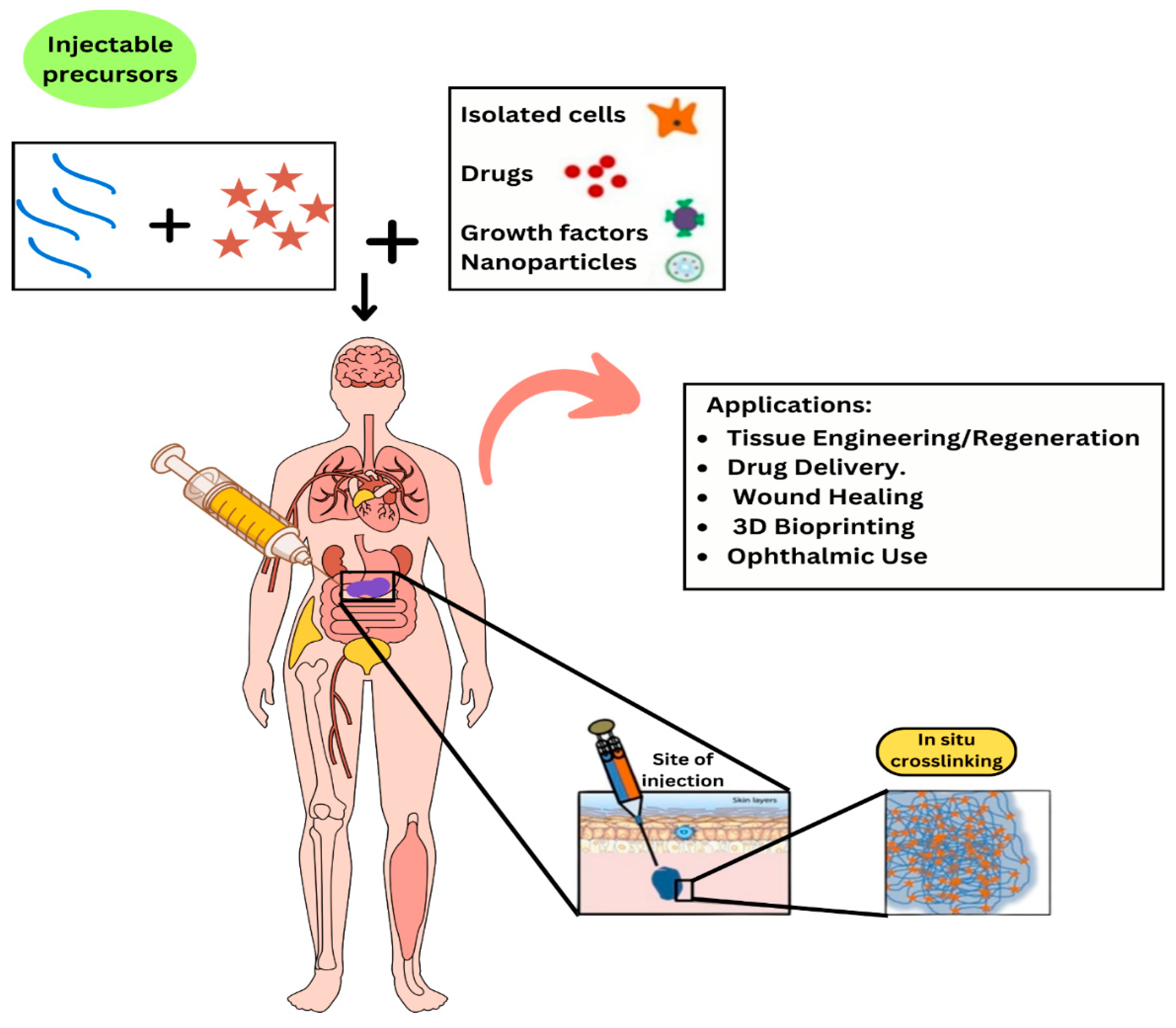 Preprints 146676 g005