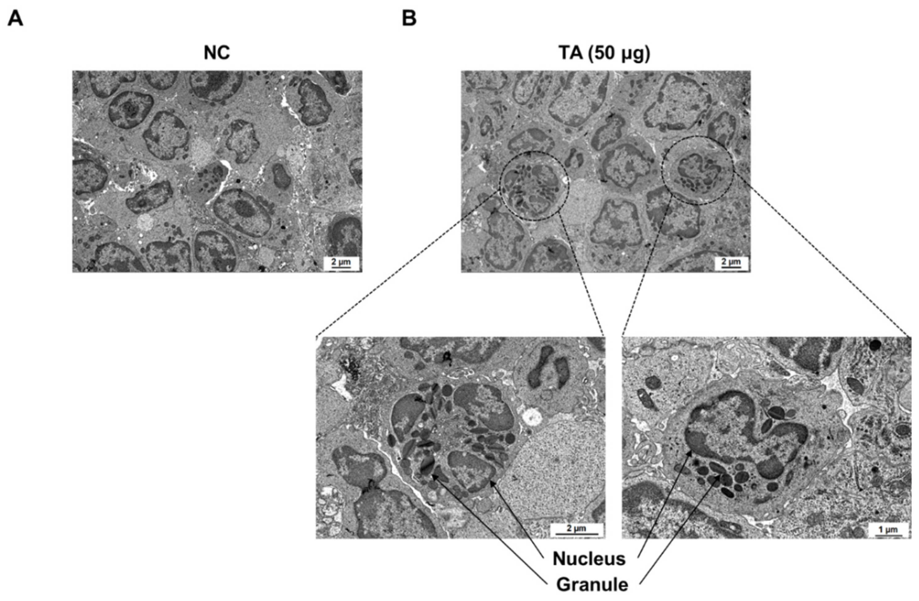 Preprints 142473 g006