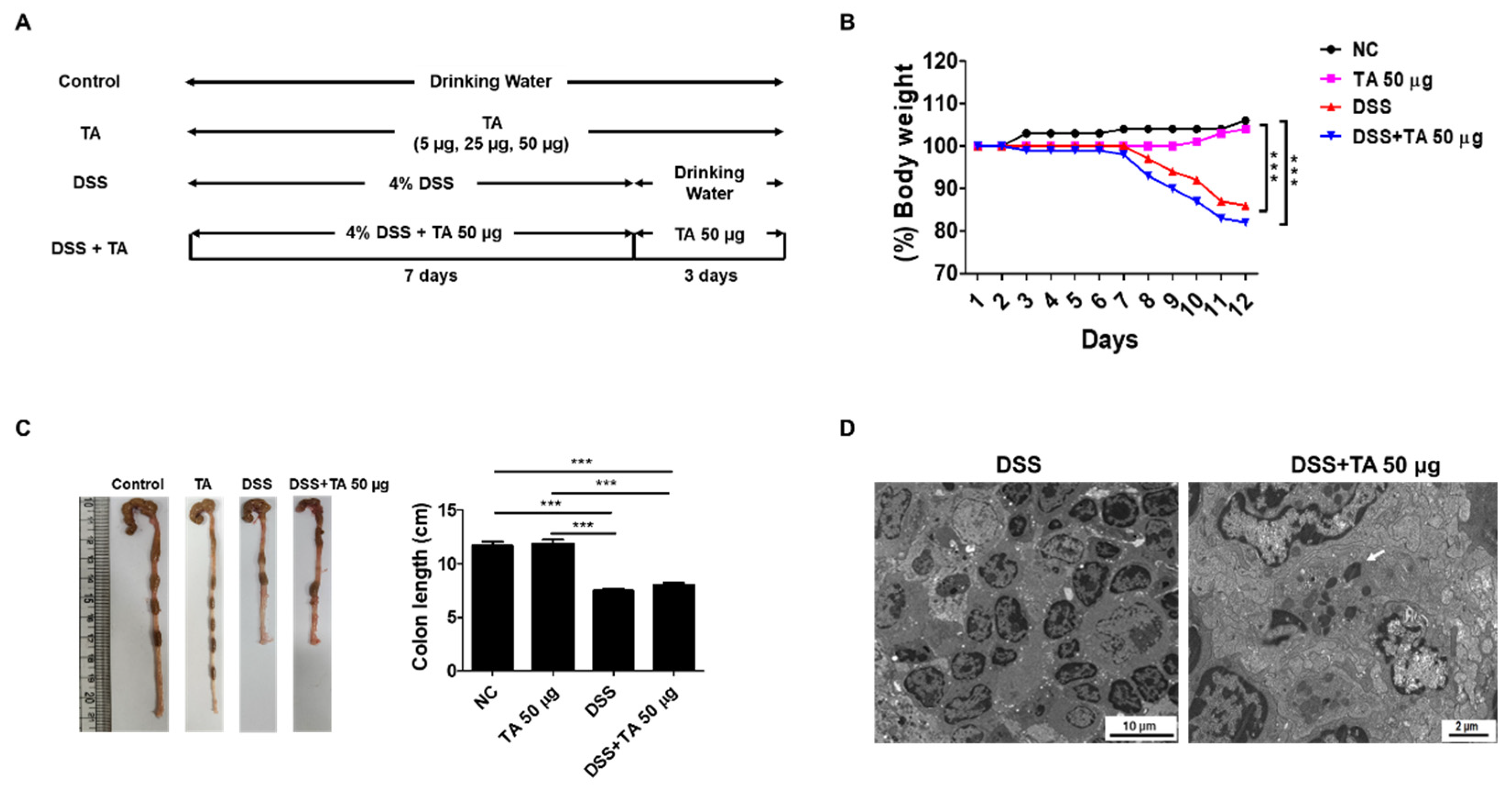 Preprints 142473 g007