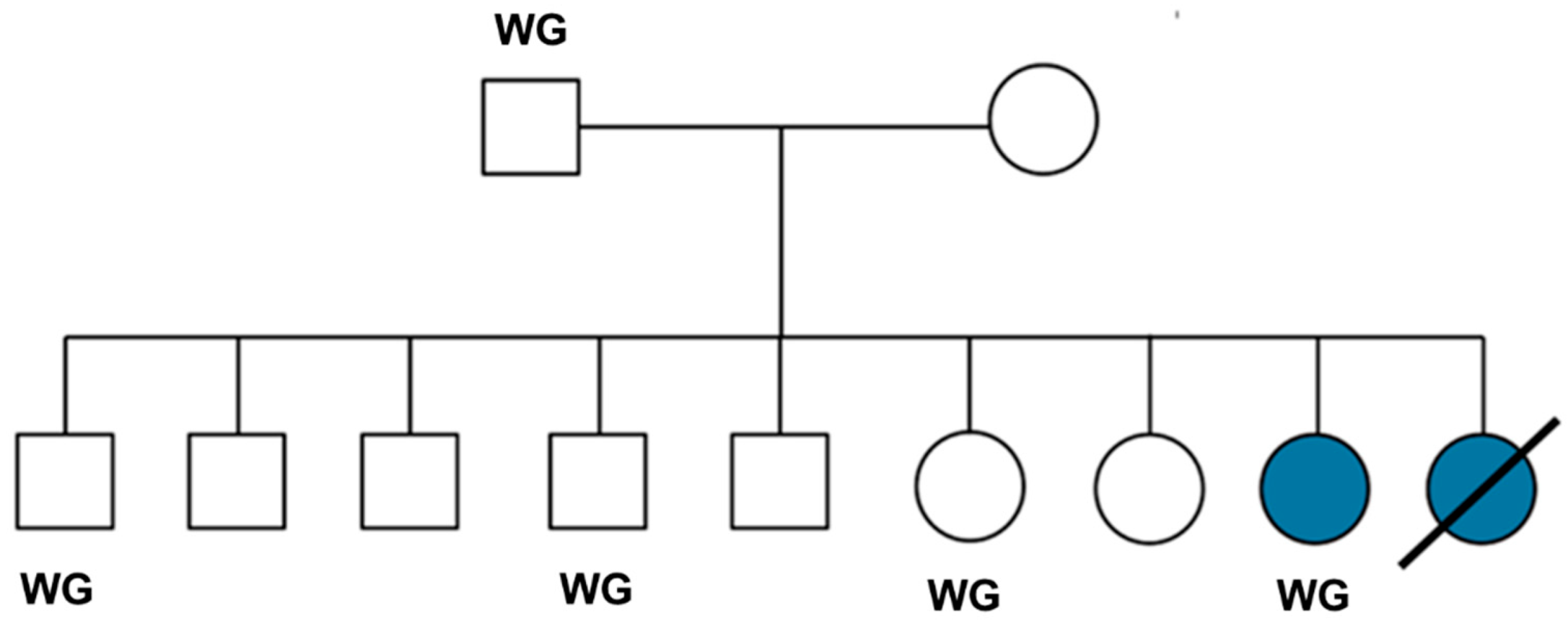 Preprints 181947 g001