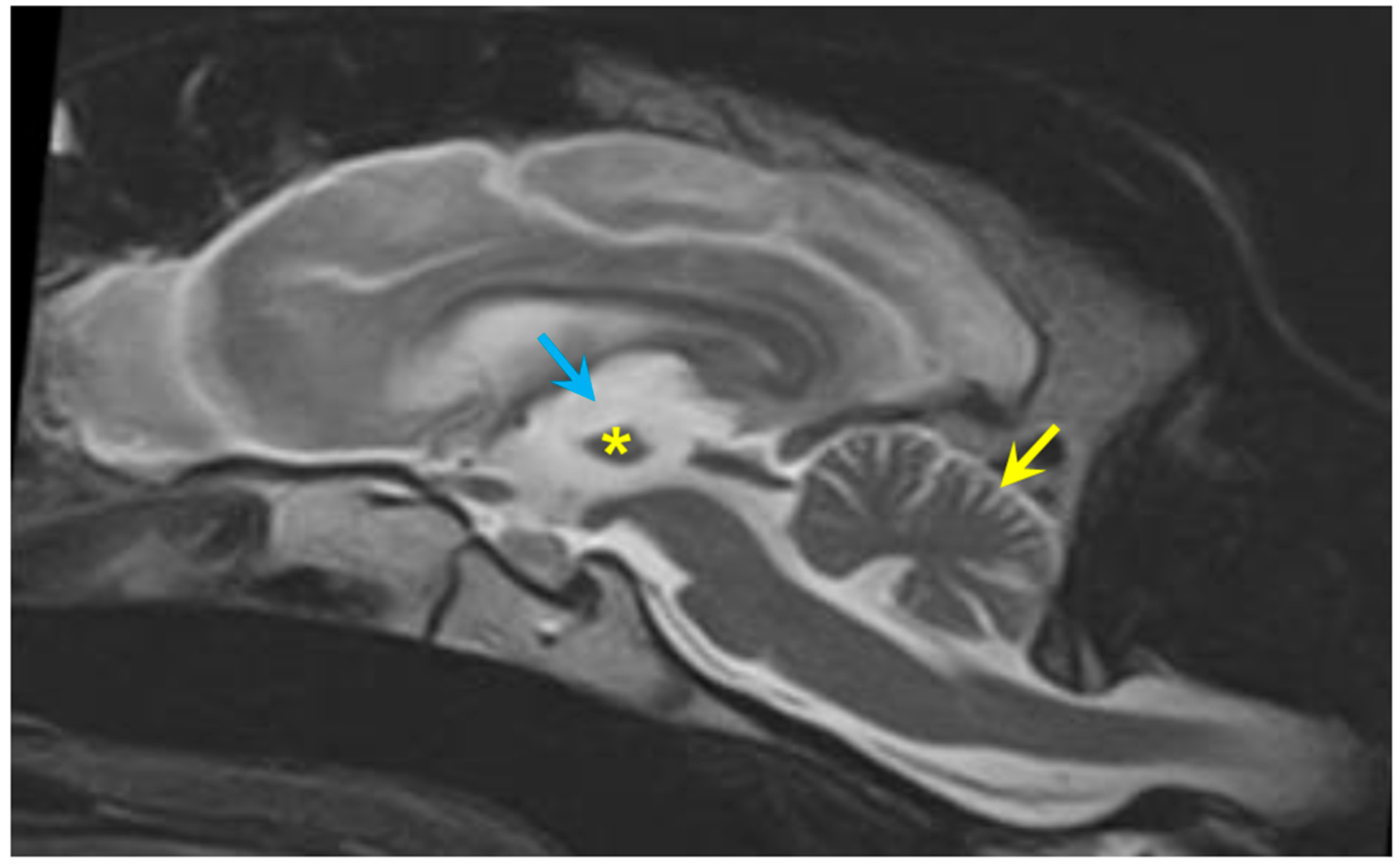 Preprints 181947 g003