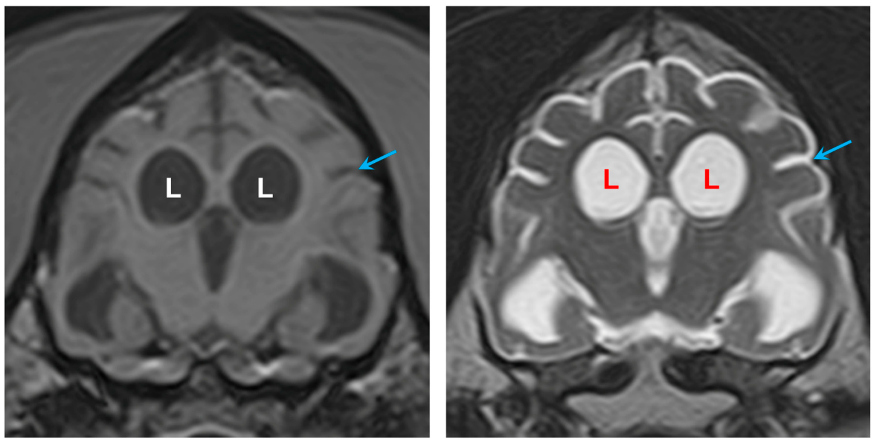 Preprints 181947 g004