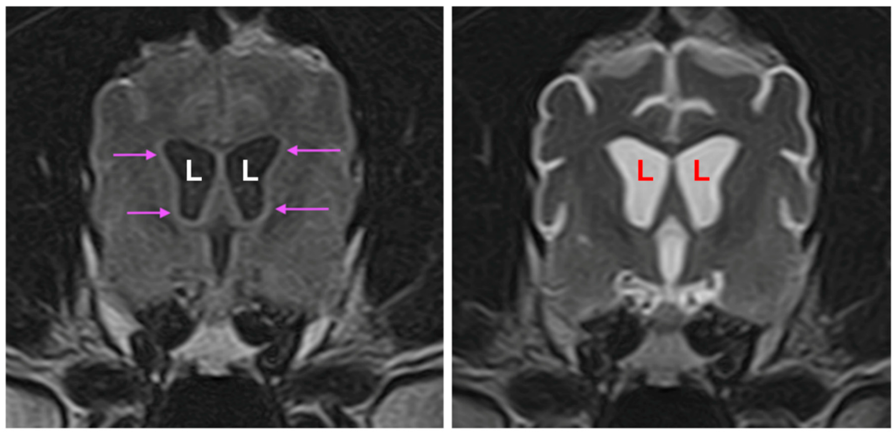 Preprints 181947 g005