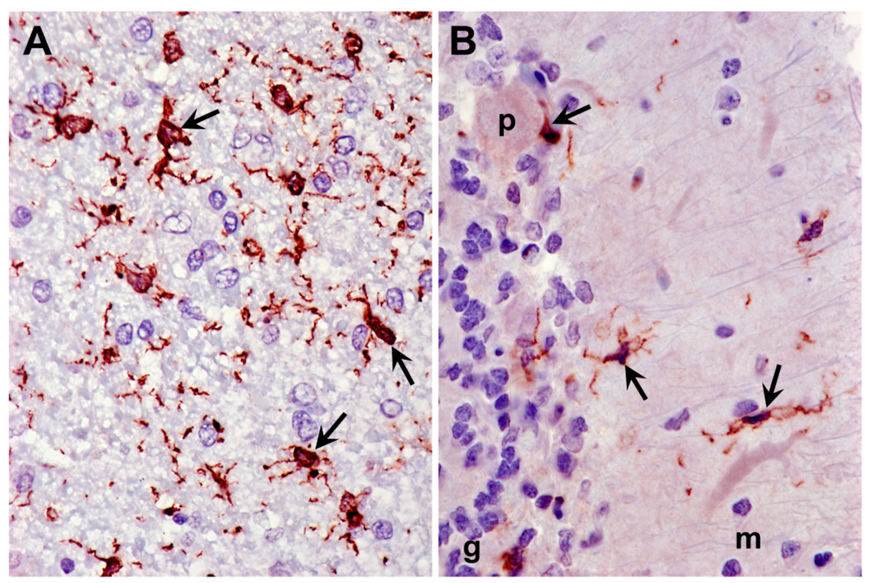 Preprints 181947 g016