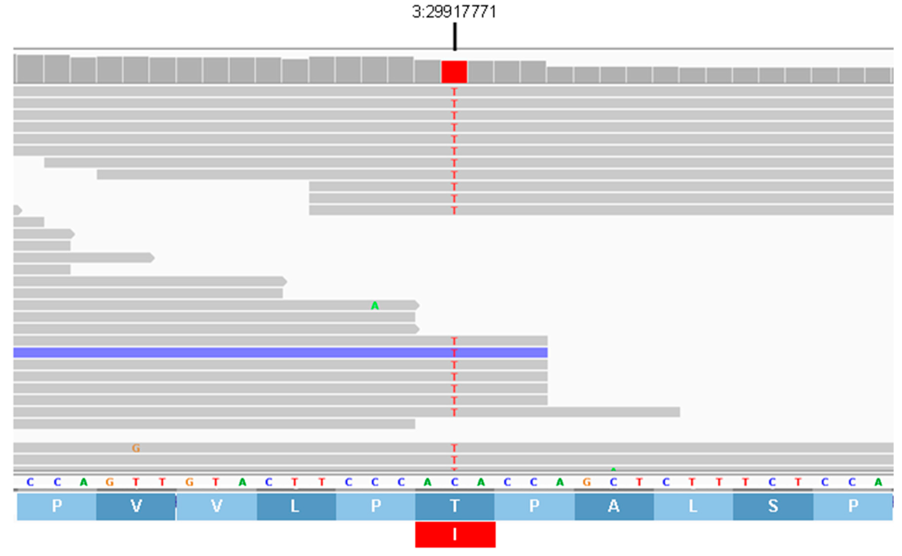 Preprints 181947 g017