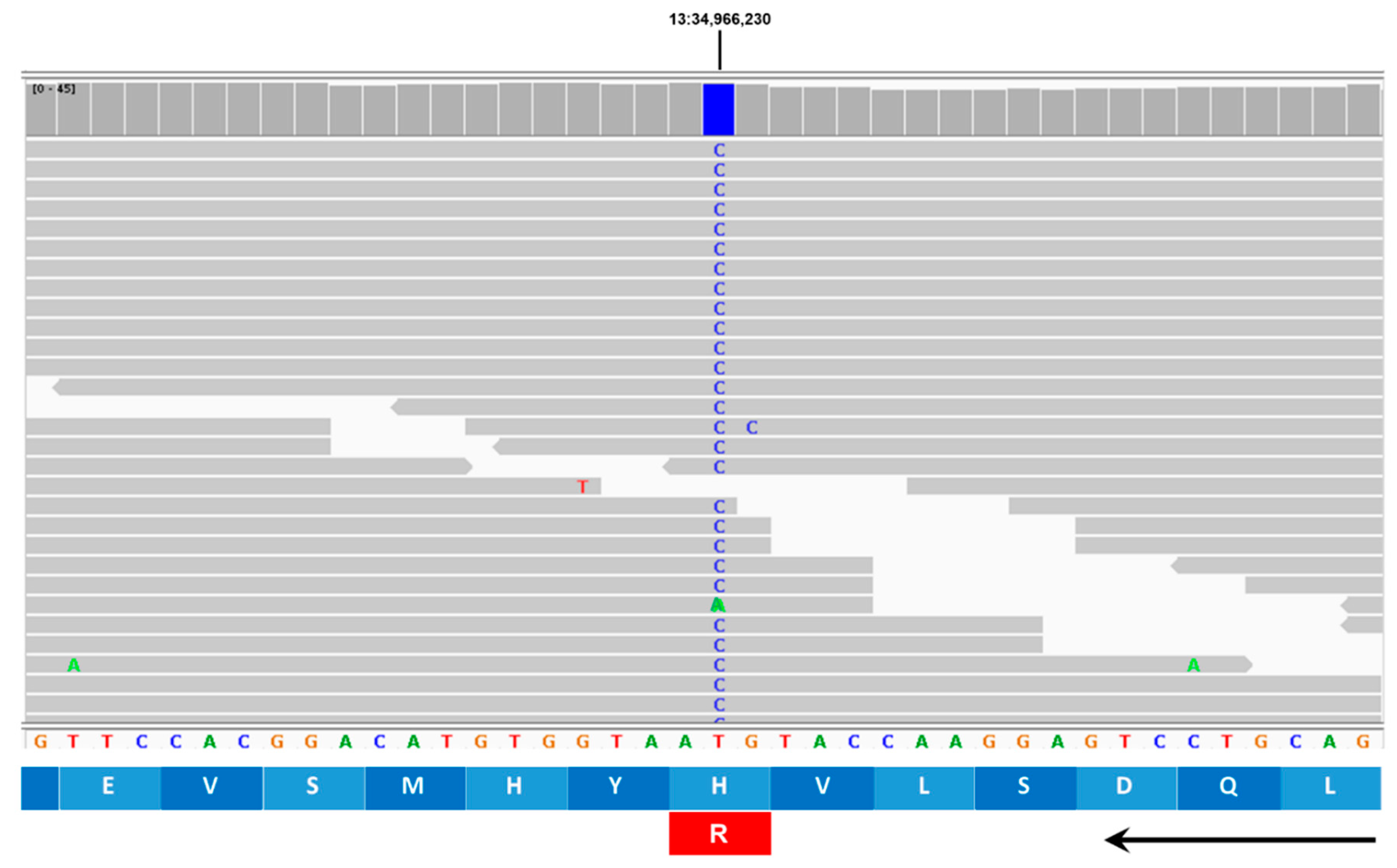 Preprints 181947 g018