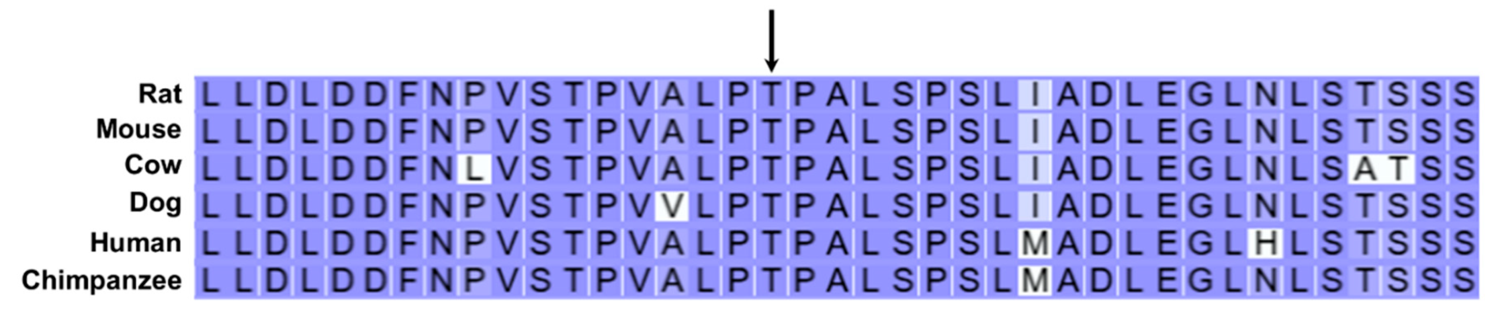 Preprints 181947 g019