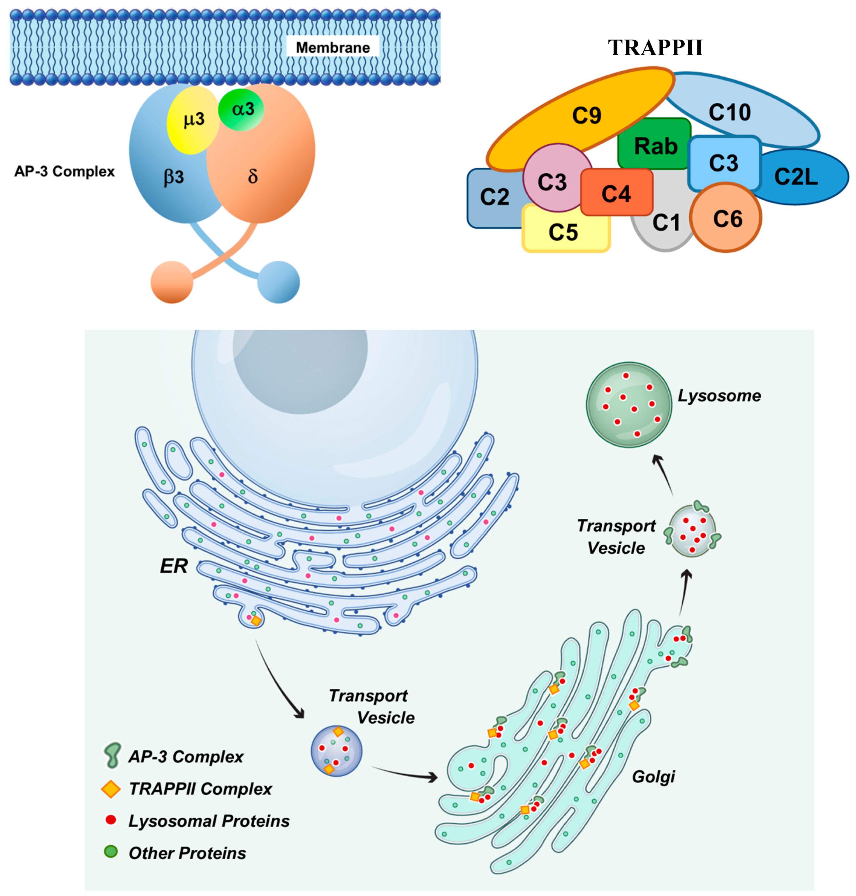 Preprints 181947 g021