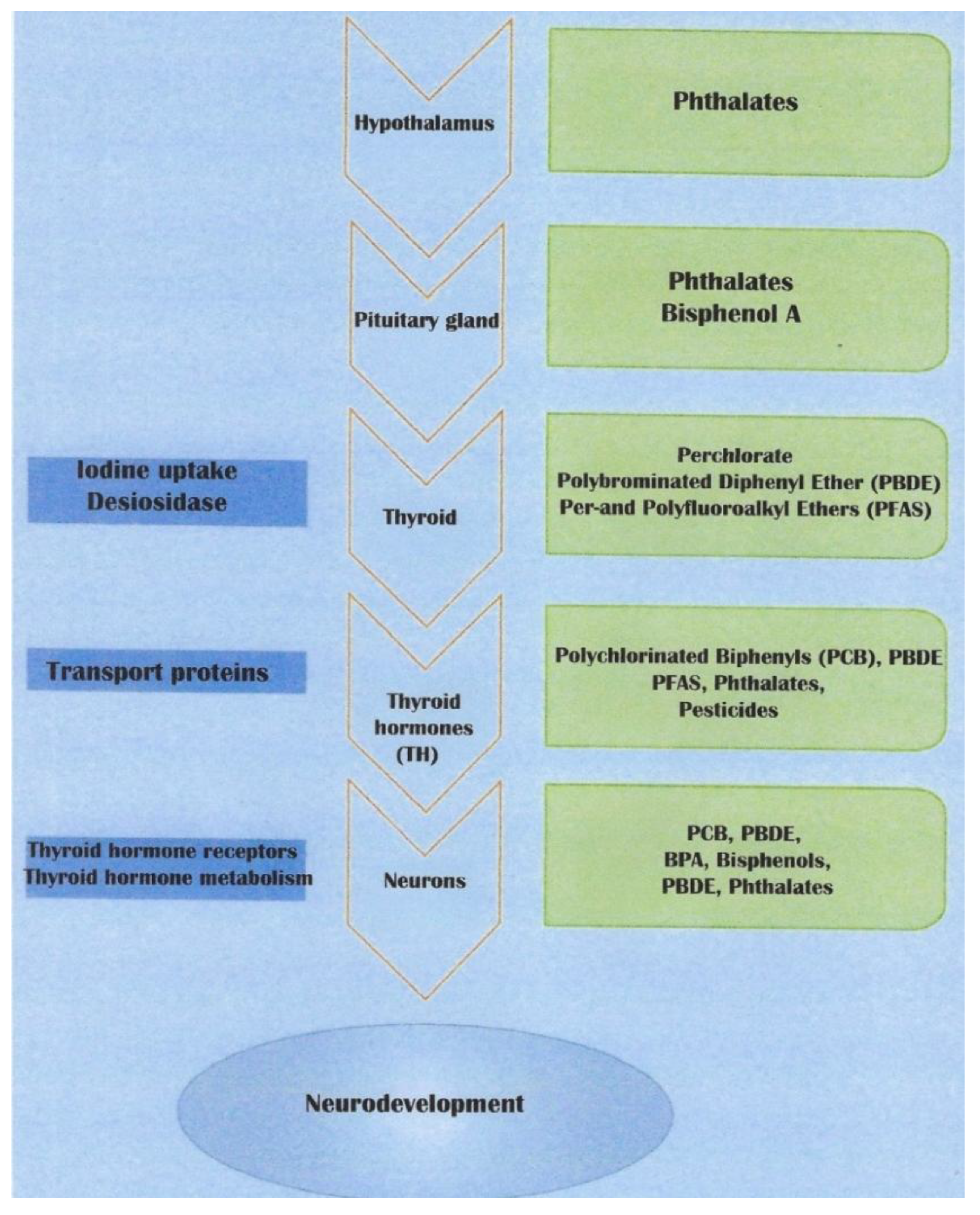 Preprints 171214 g002