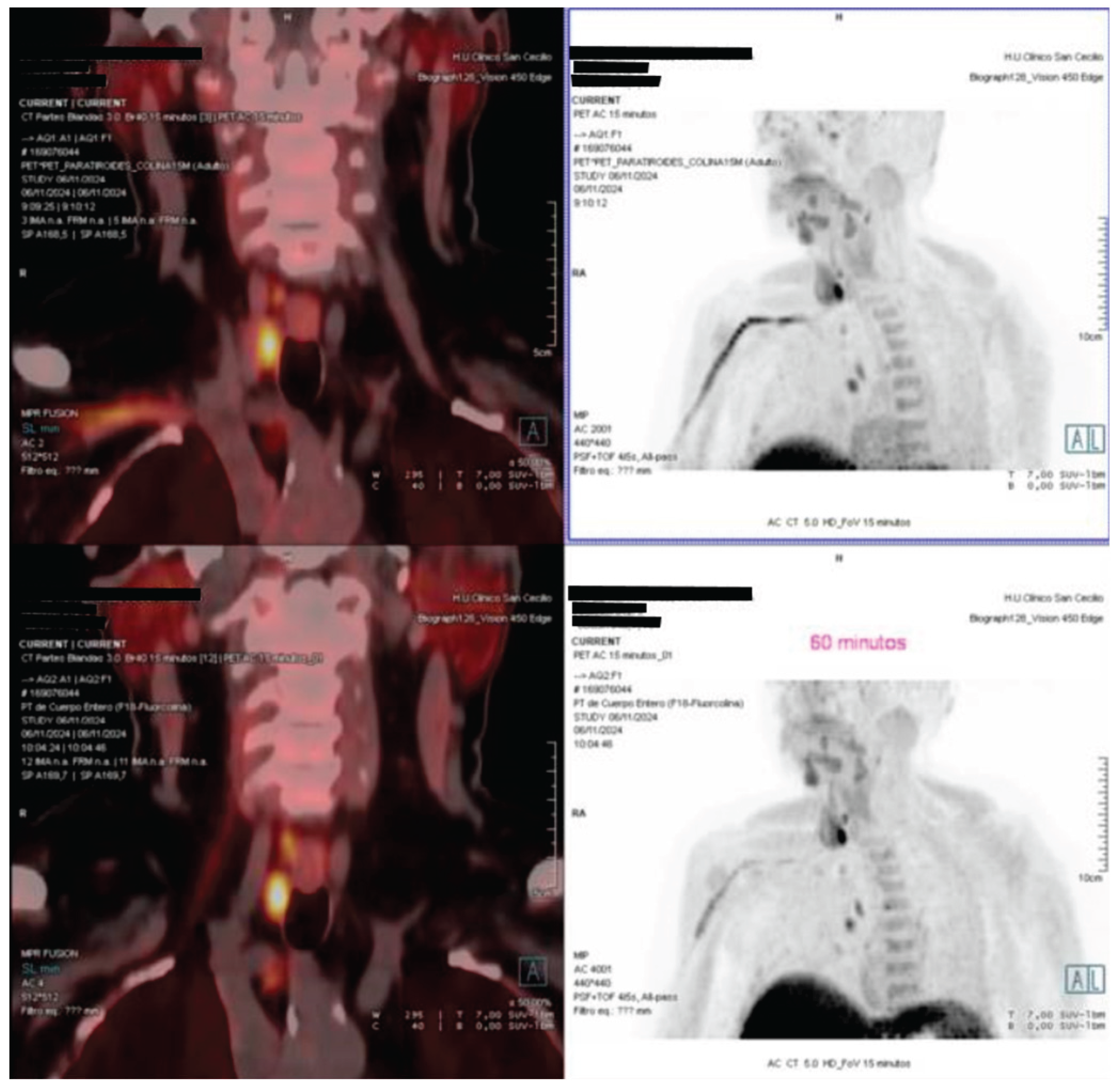 Preprints 175379 g001