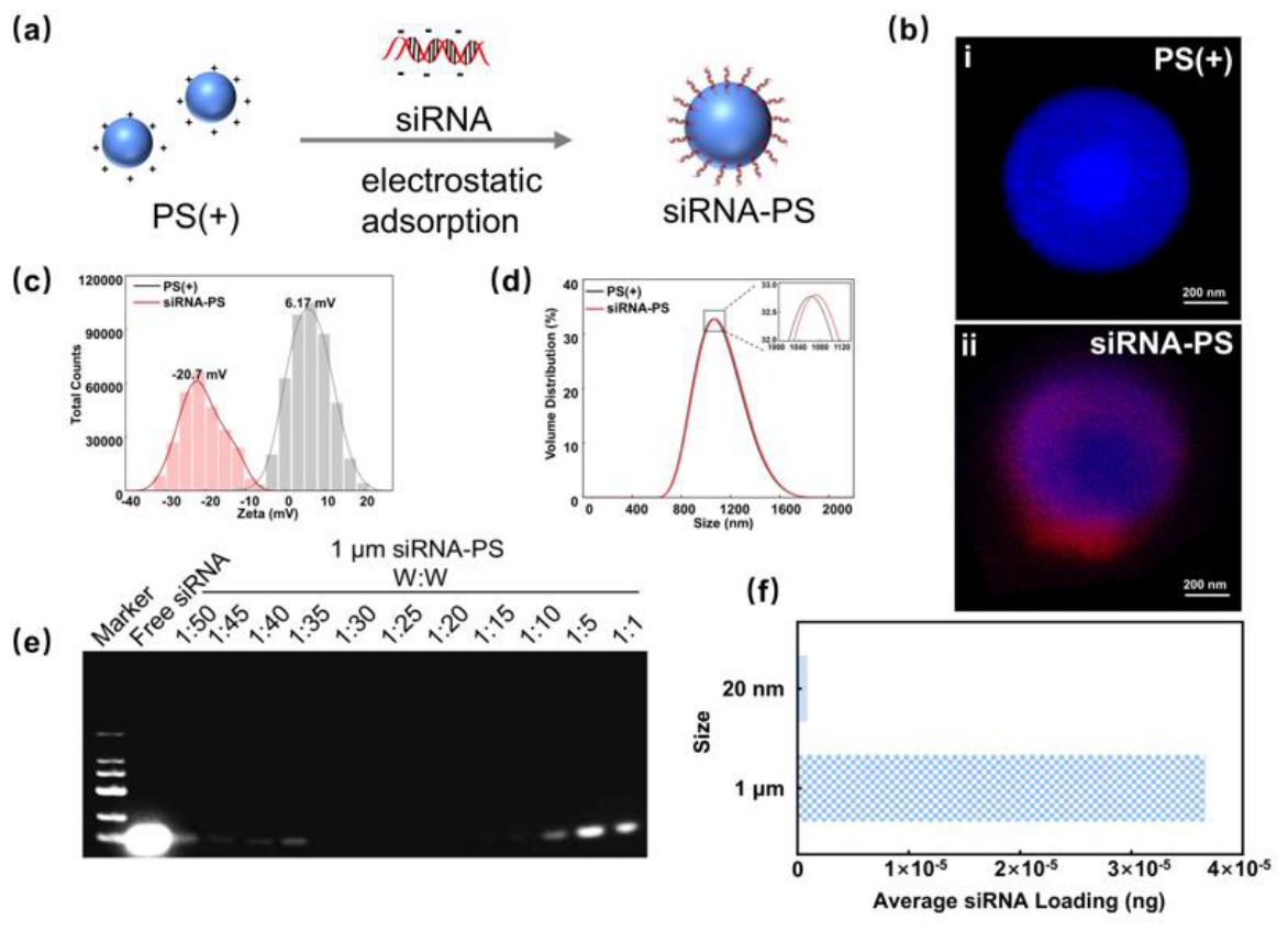 Preprints 237162 g002 Preprints 237162 g002