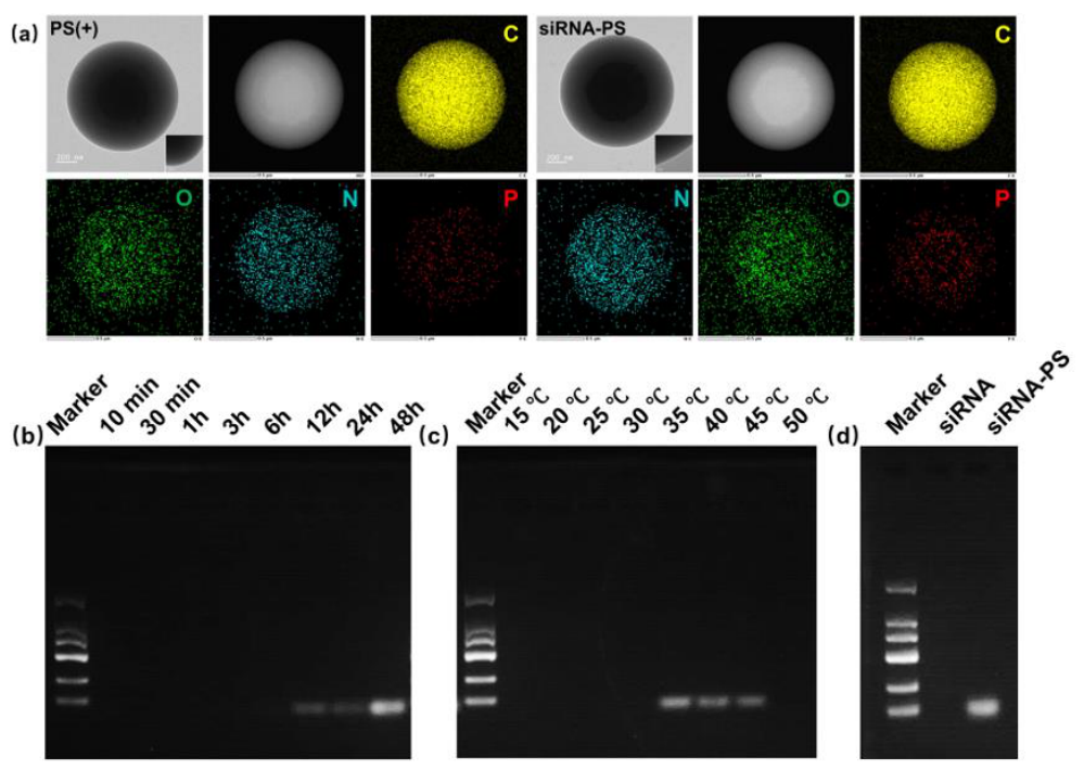 Preprints 237162 g003 Preprints 237162 g003
