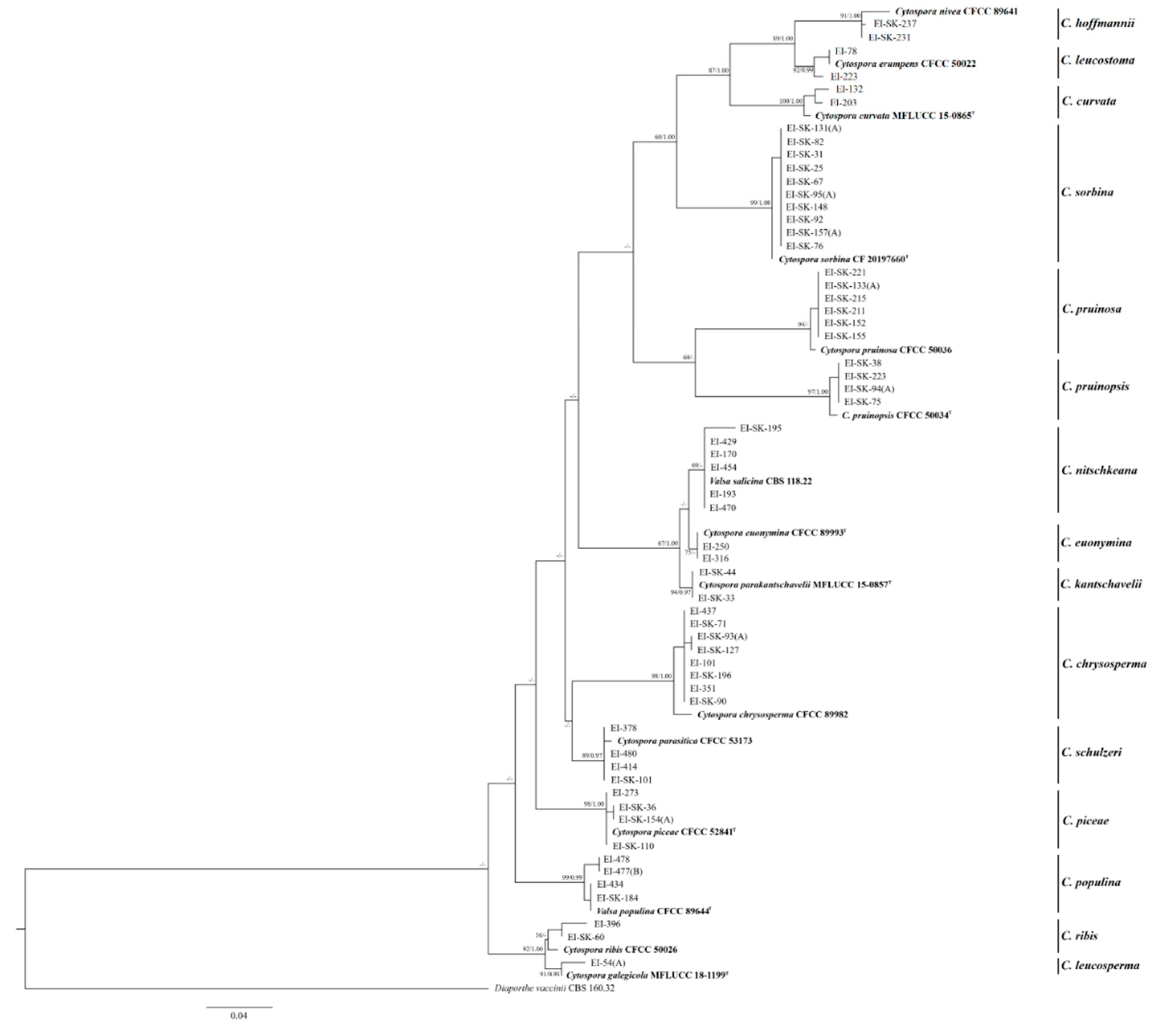 Preprints 145398 g002