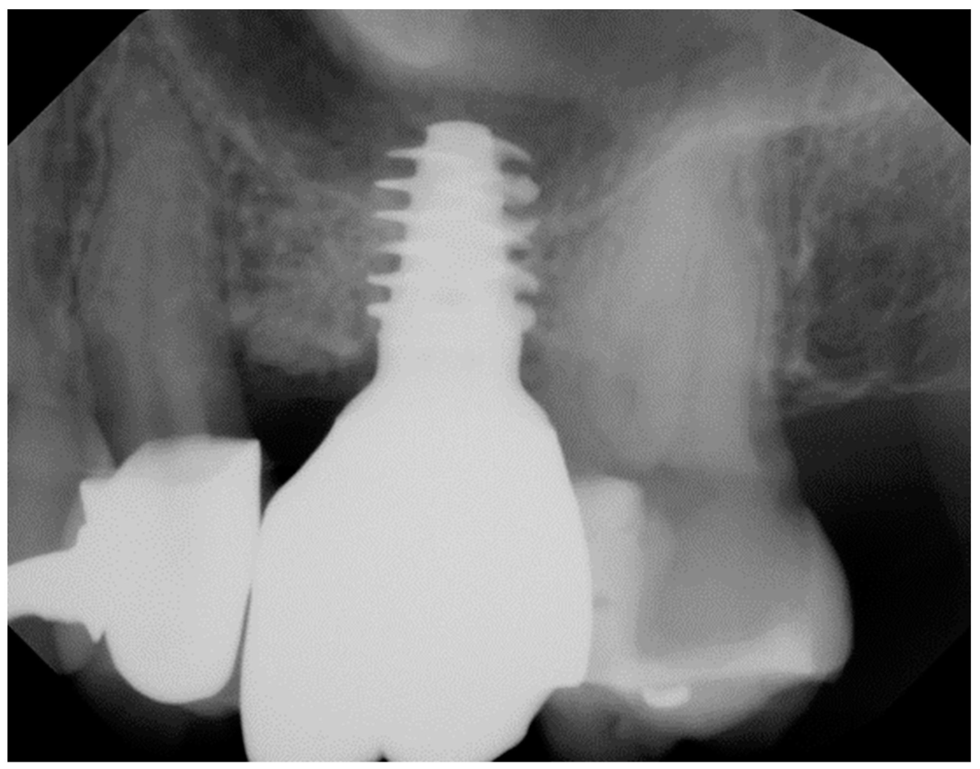 Preprints 90454 g001